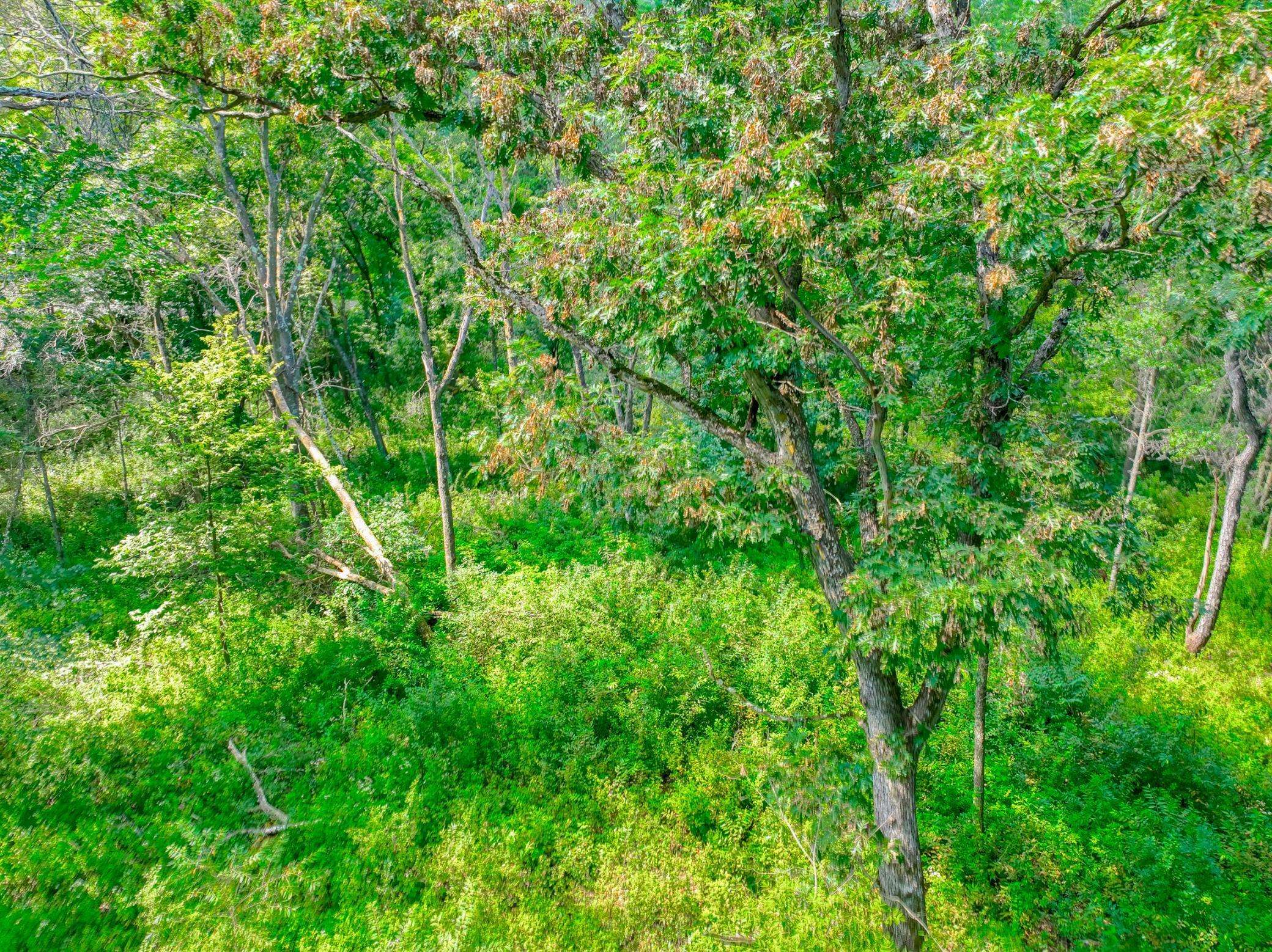 2555 Trading Post TRL S, Afton, MN 55001