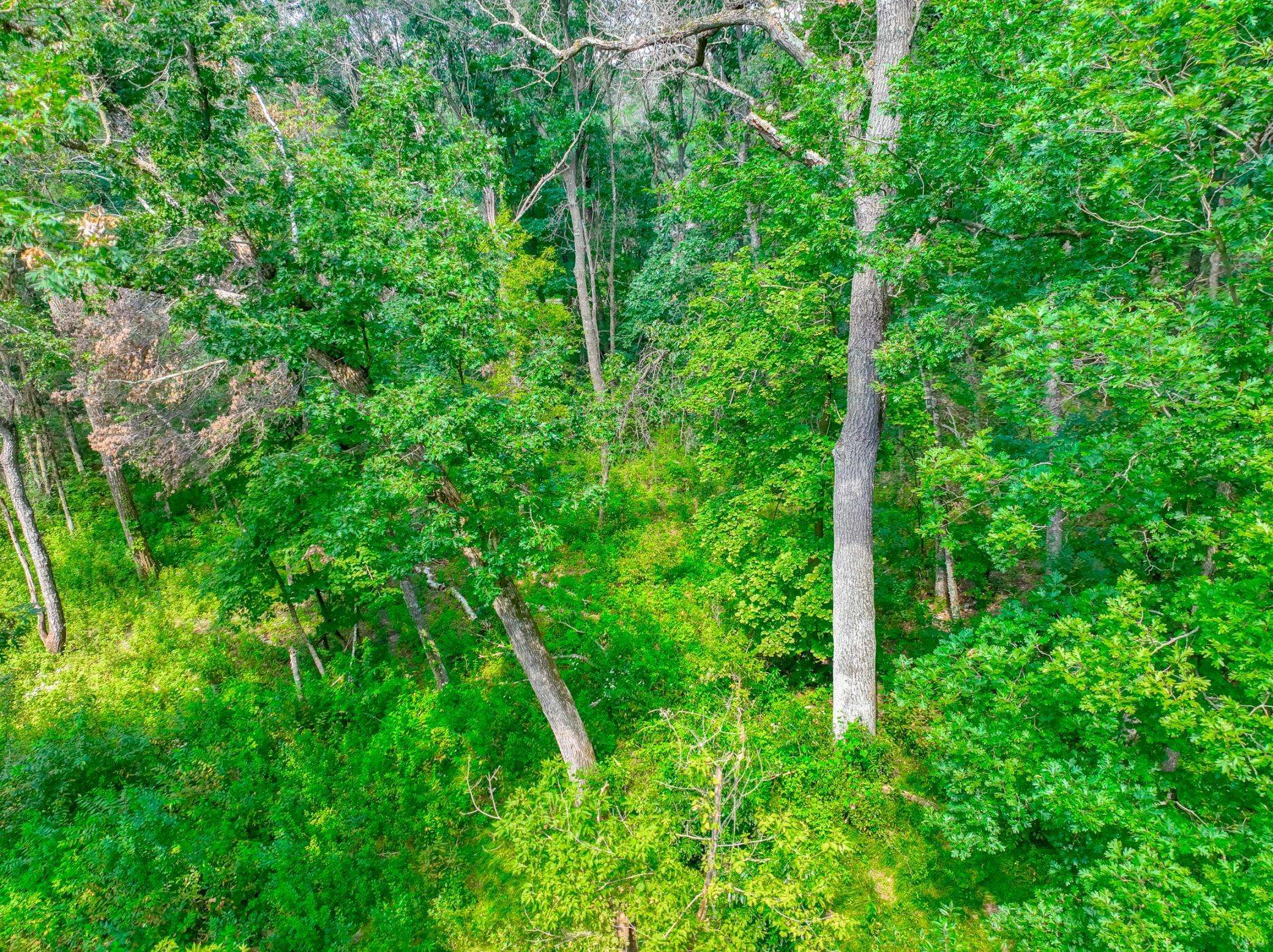 2555 Trading Post TRL S, Afton, MN 55001