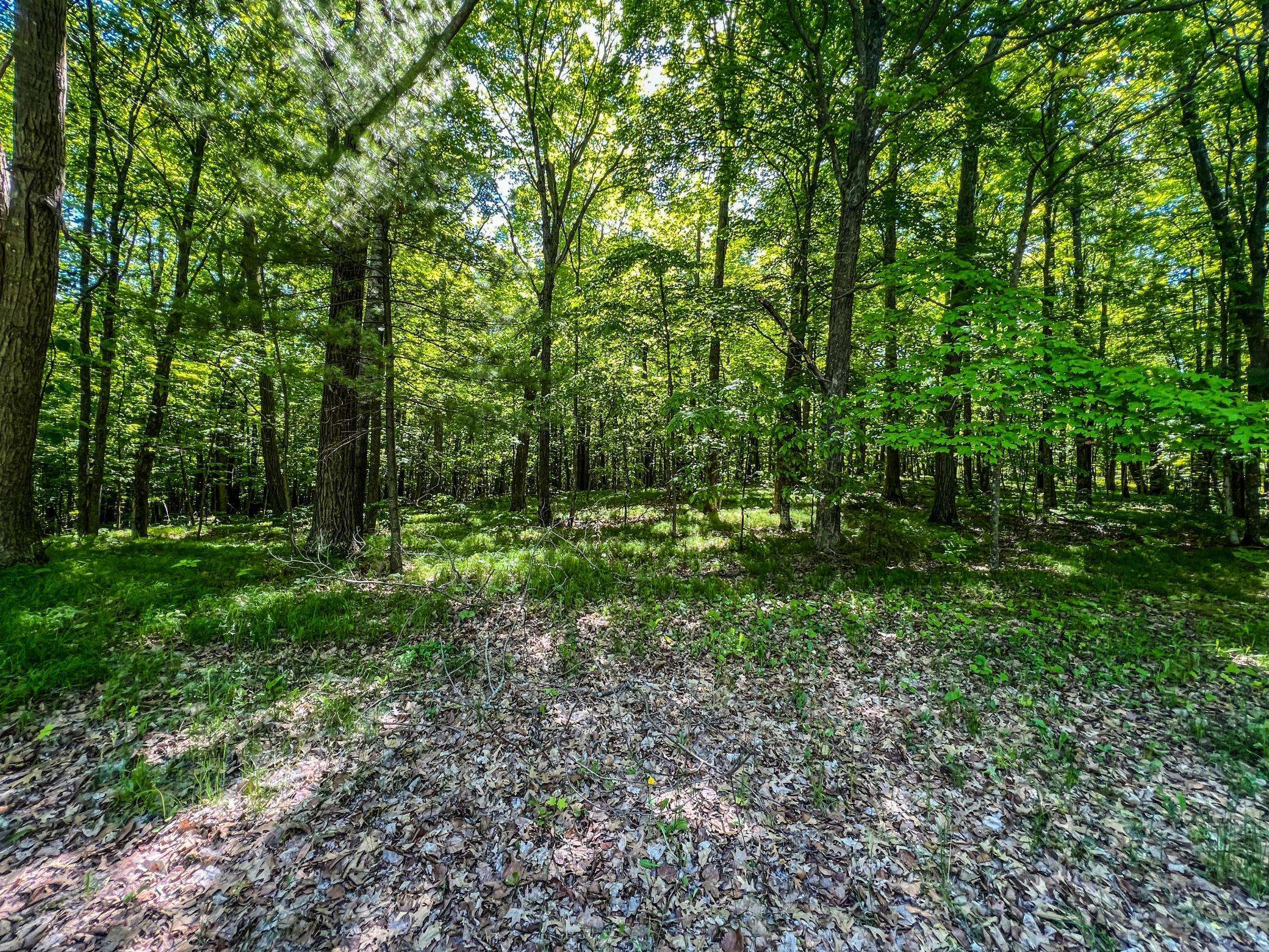 TBD Tract A Damsgaard RD, Bay Lake Twp, MN 56444