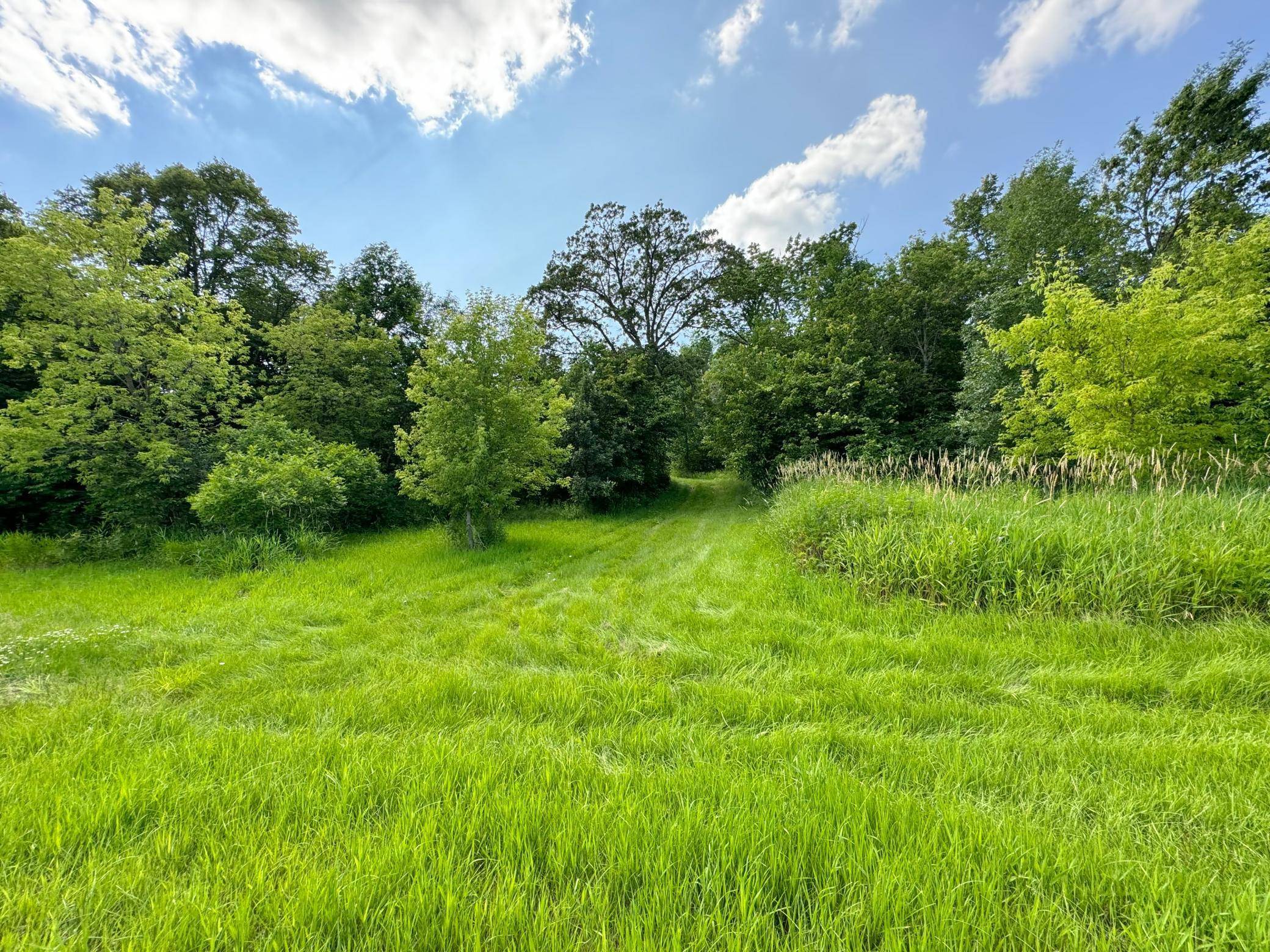 289XX N Buffalo Lake Rd D, Callaway, MN 56521