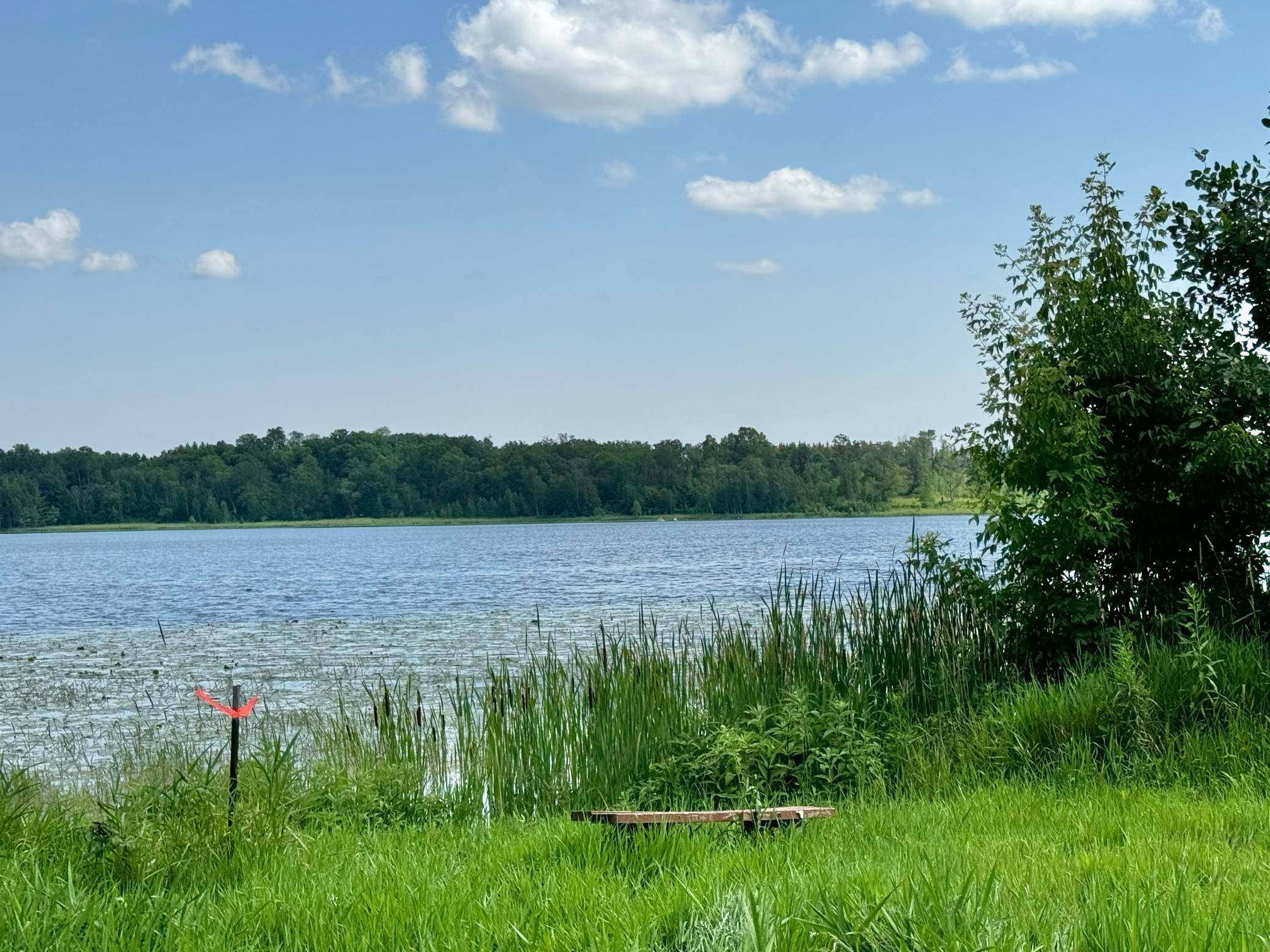 289XX N Buffalo Lake Rd D, Callaway, MN 56521