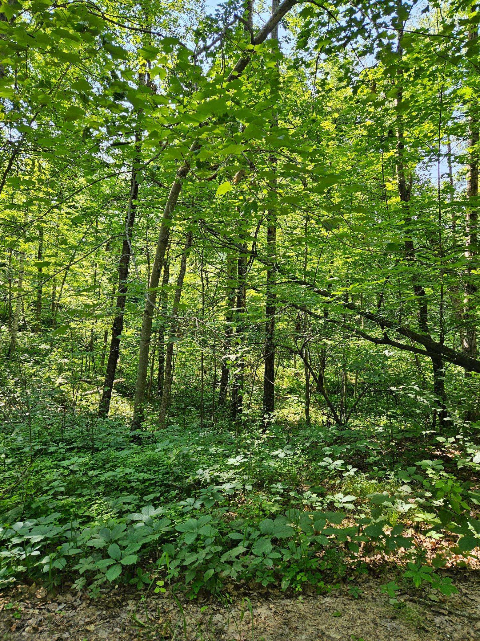 Lot 40 Summit Ridge DR, Breezy Point, MN 56472