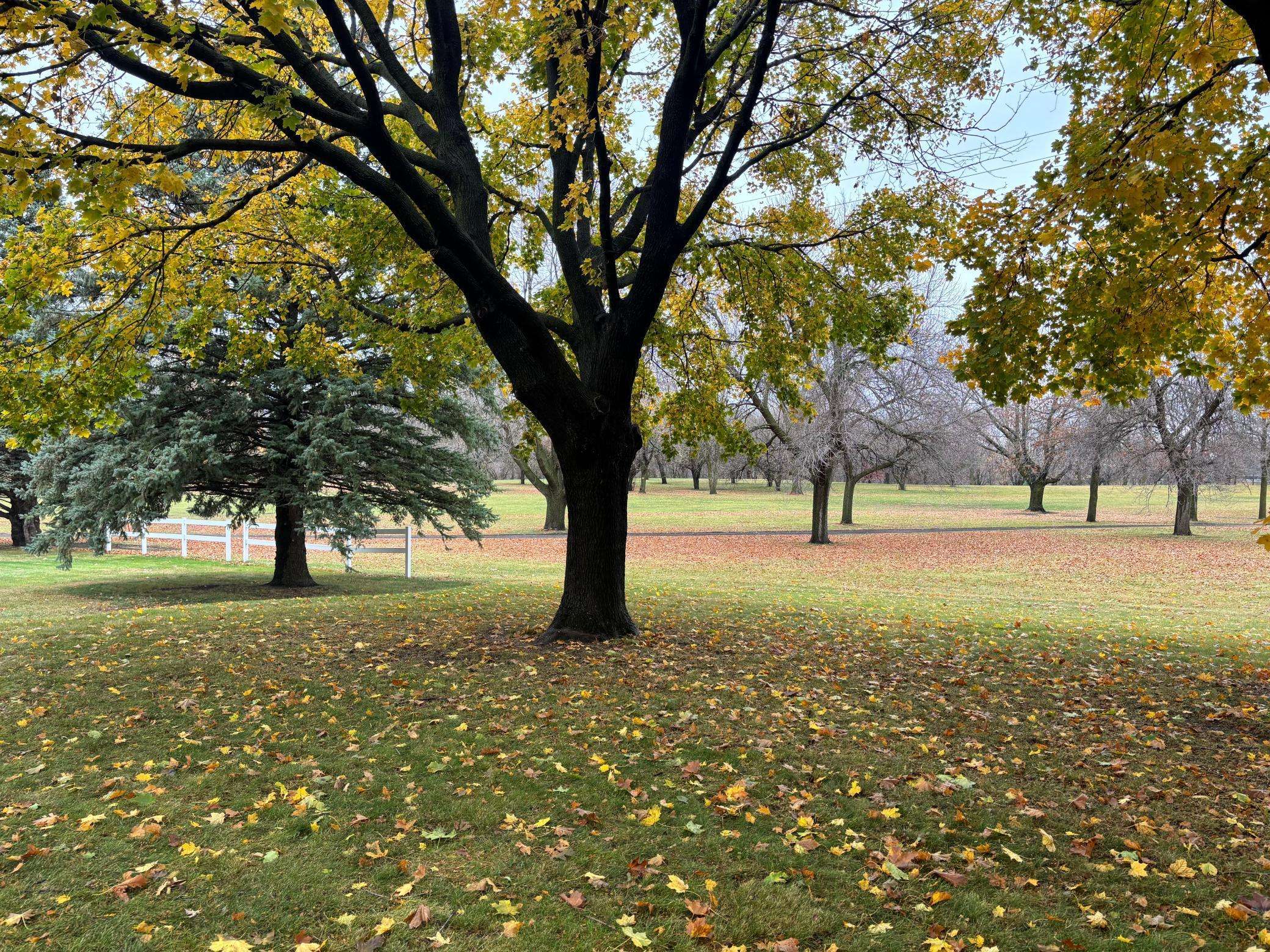 107 Golf Course DR, Armstrong, IA 50514