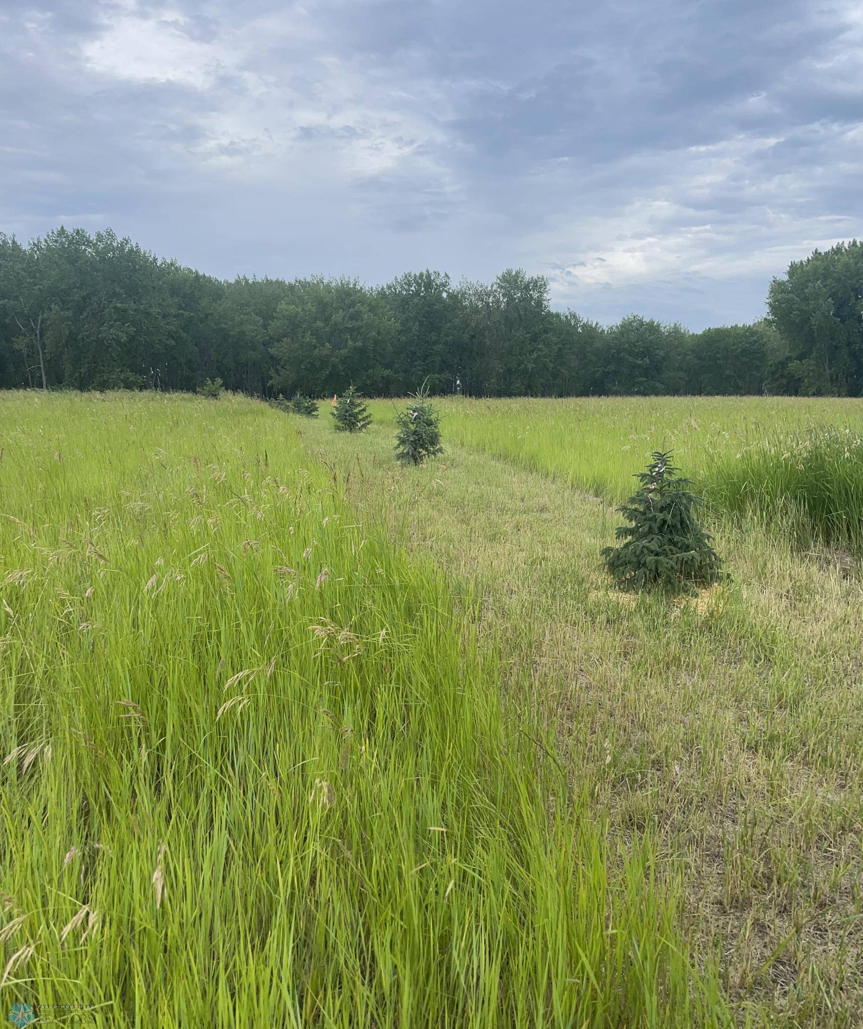 10228 State Hwy 9 S, Barnesville, MN 56514