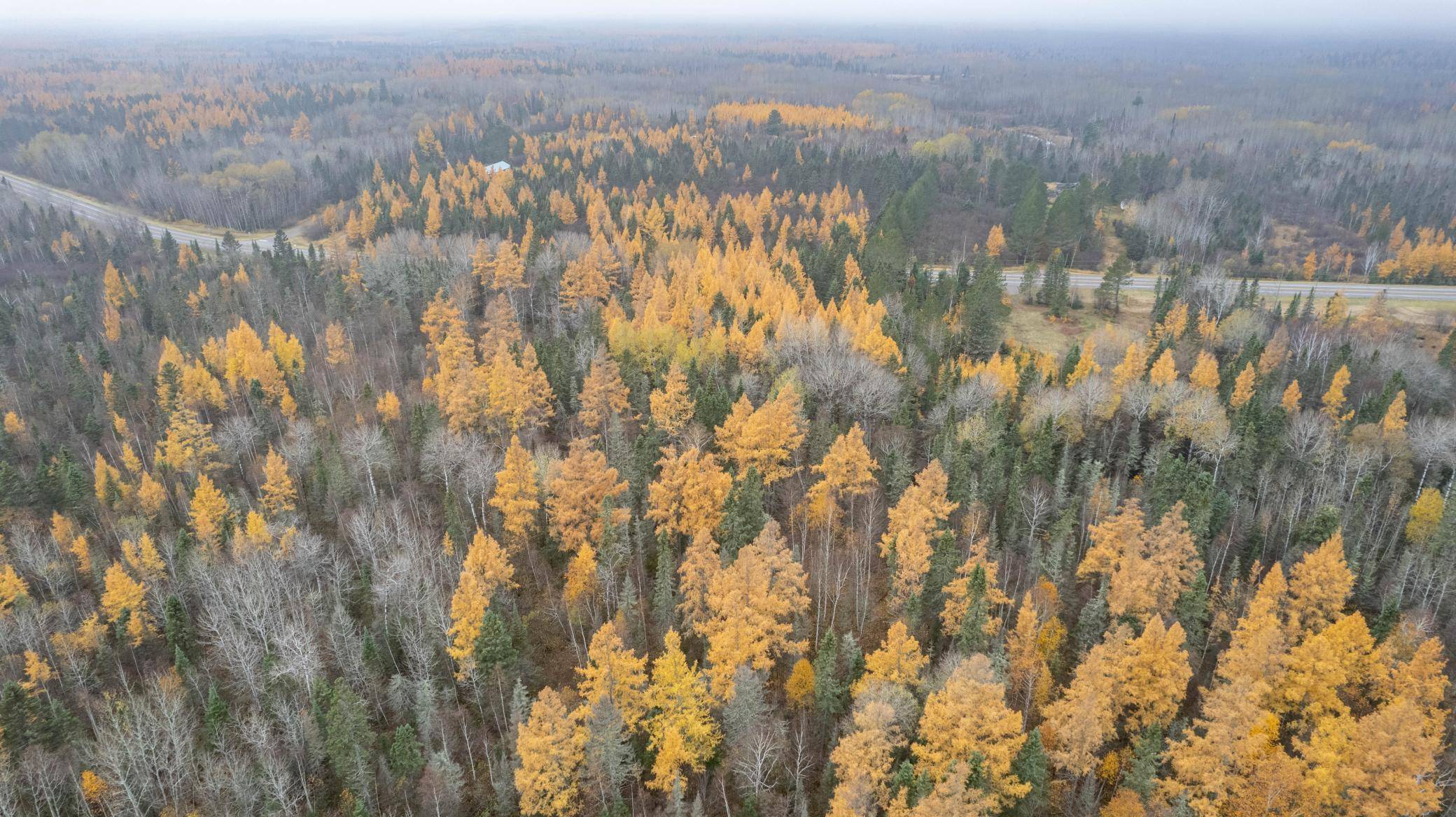 TBD Town Line RD, Bassett Twp, MN 55602