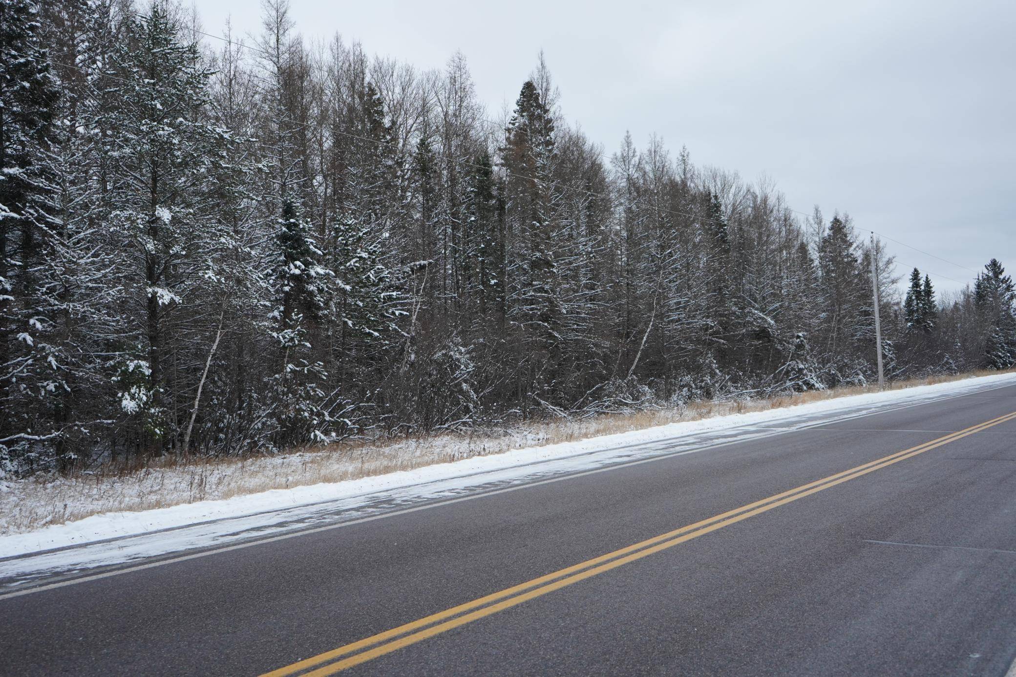 TBD Town Line RD, Bassett Twp, MN 55602