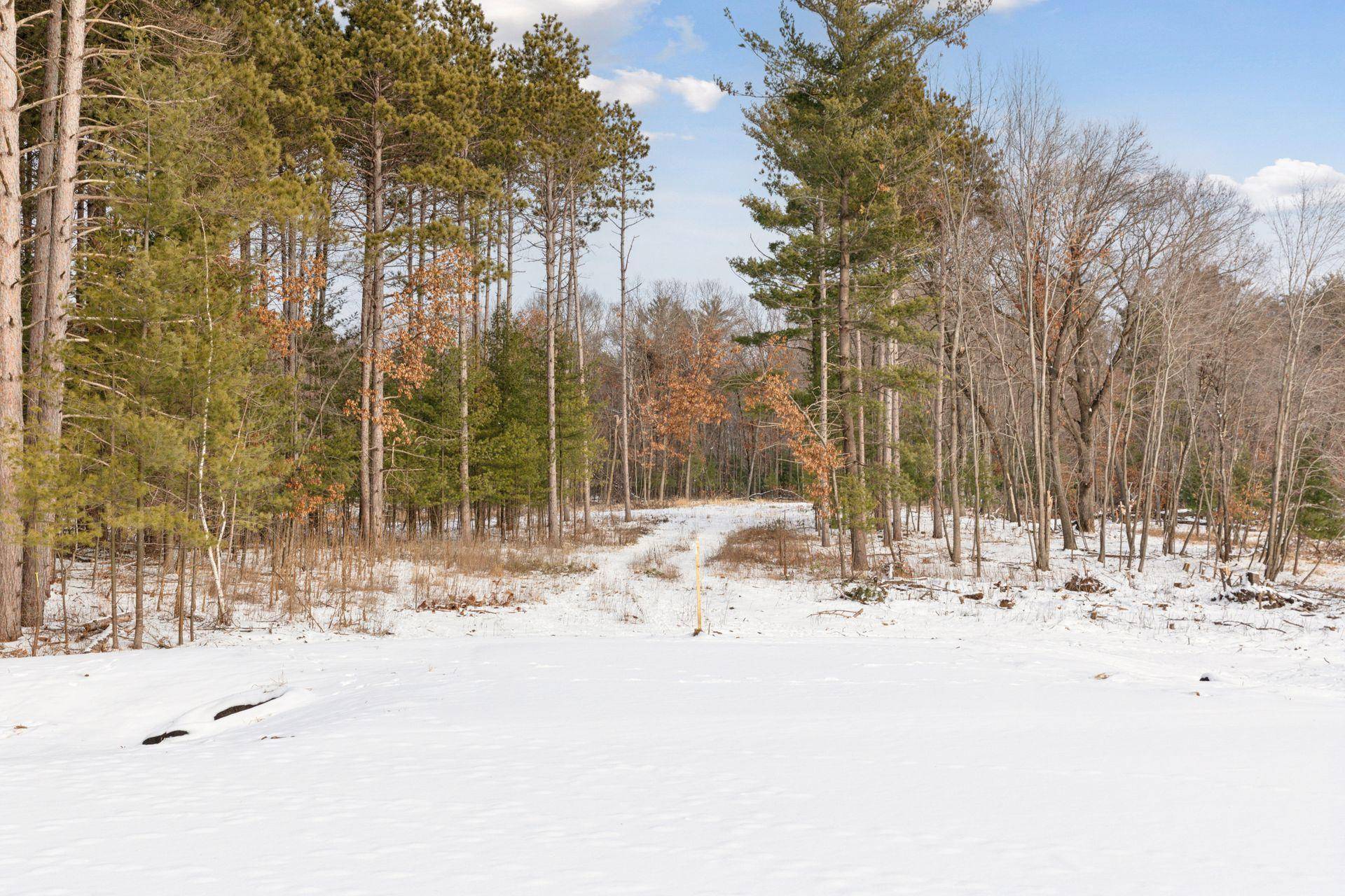 XXX (Lot 4) 317th CT NW, Cambridge, MN 55008