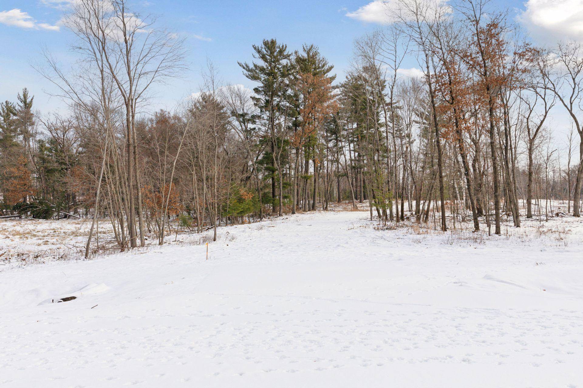 XXX (Lot 5) 317th CT NW, Cambridge, MN 55008