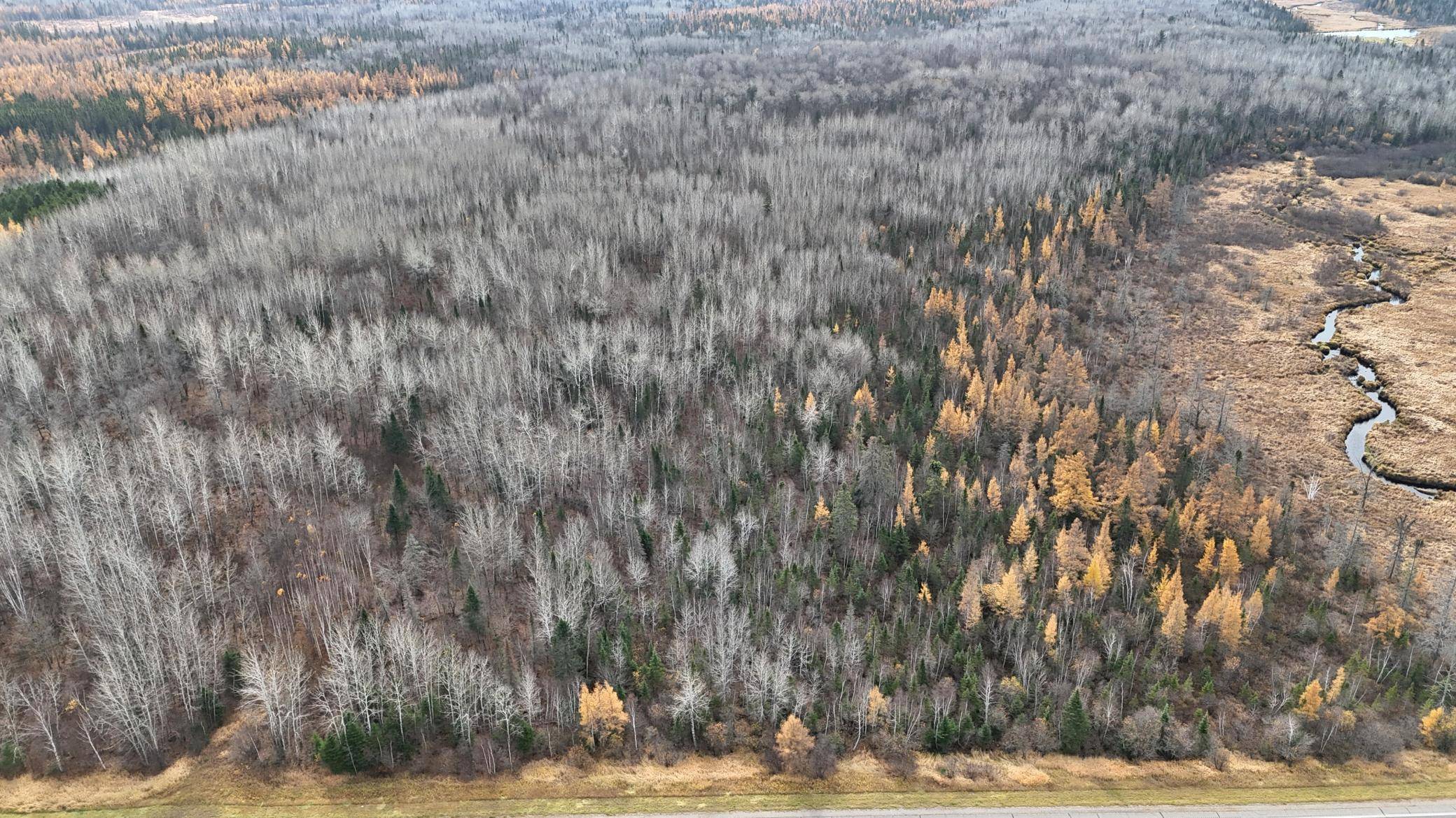 XXX Town Line Rd, Brimson, MN 55602