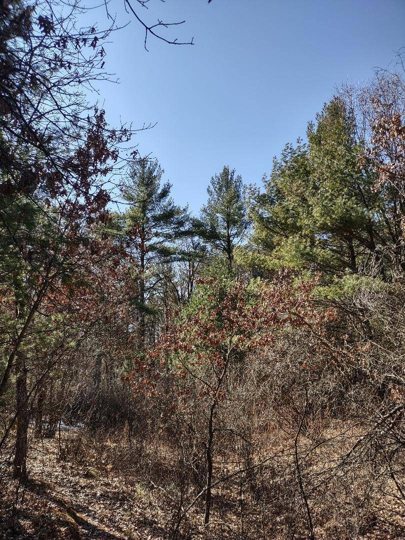 Lots 41,42,43 S Red Pine TRL, Black River Falls, WI 54615