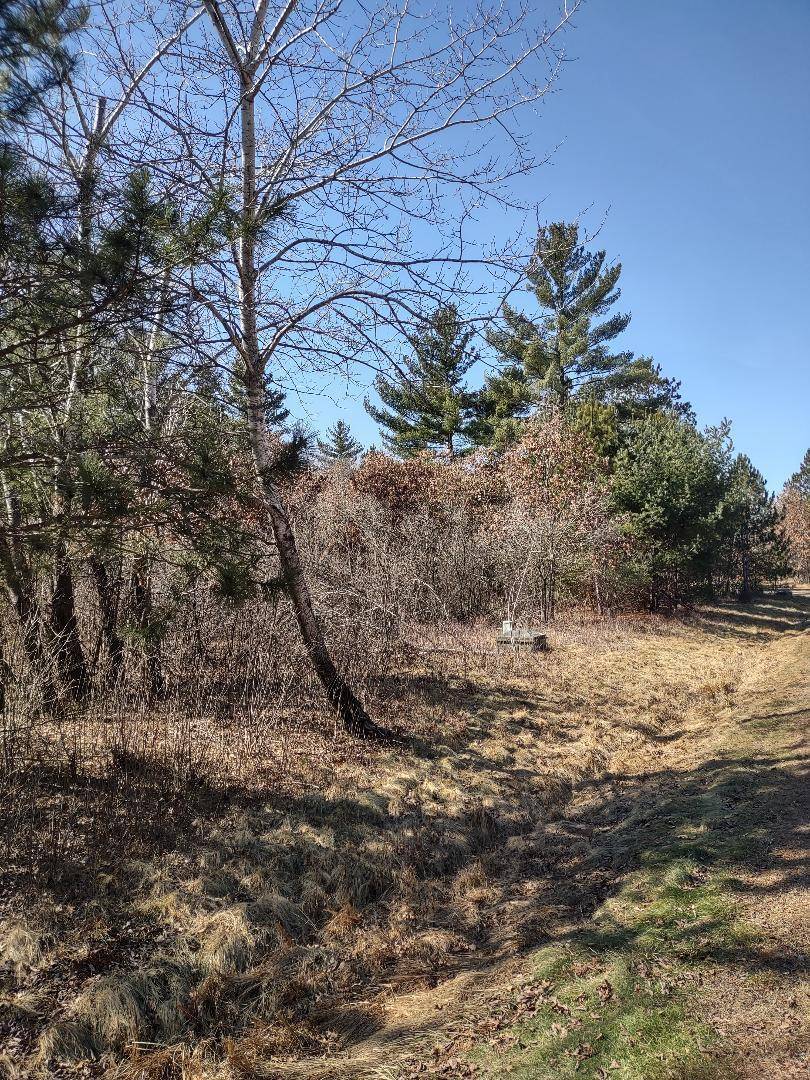 Lots 41,42,43 S Red Pine TRL, Black River Falls, WI 54615