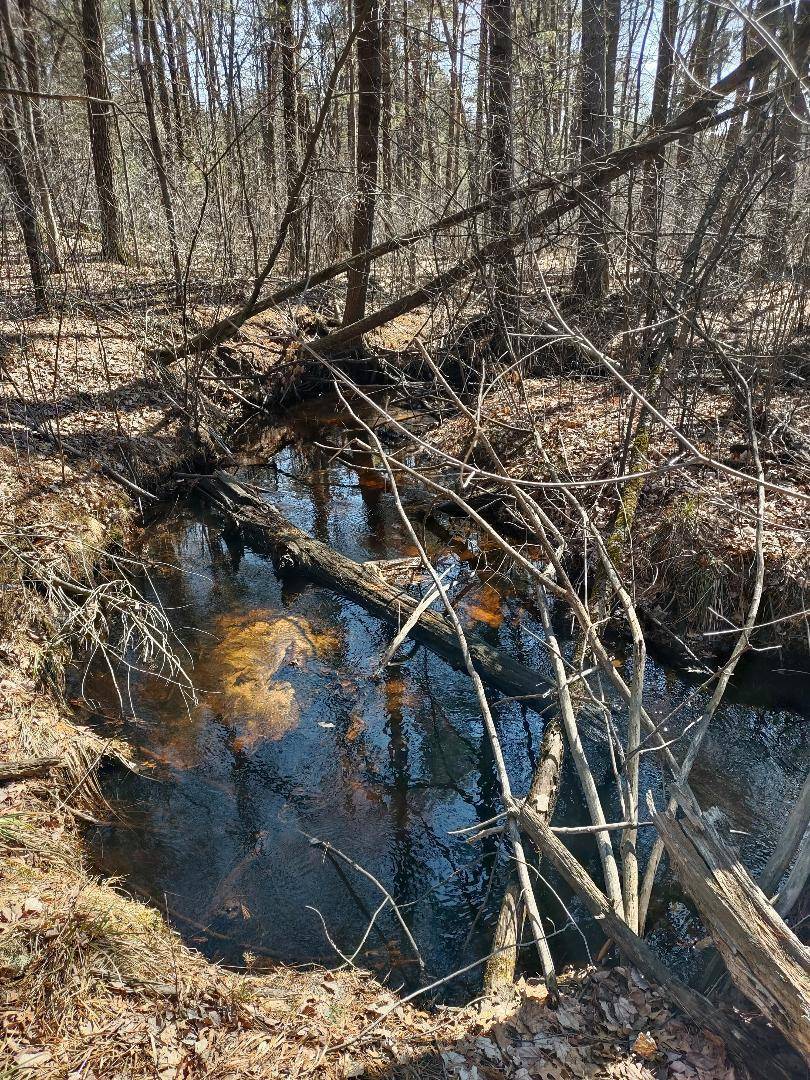 Lots 41,42,43 S Red Pine TRL, Black River Falls, WI 54615