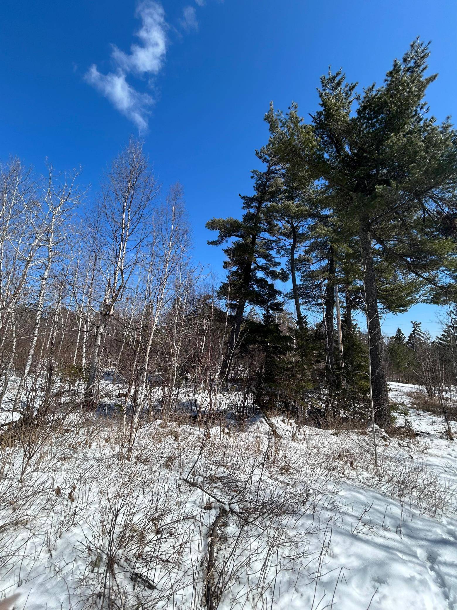 4375 Wood Ridge DR, Beaver Bay, MN 55601