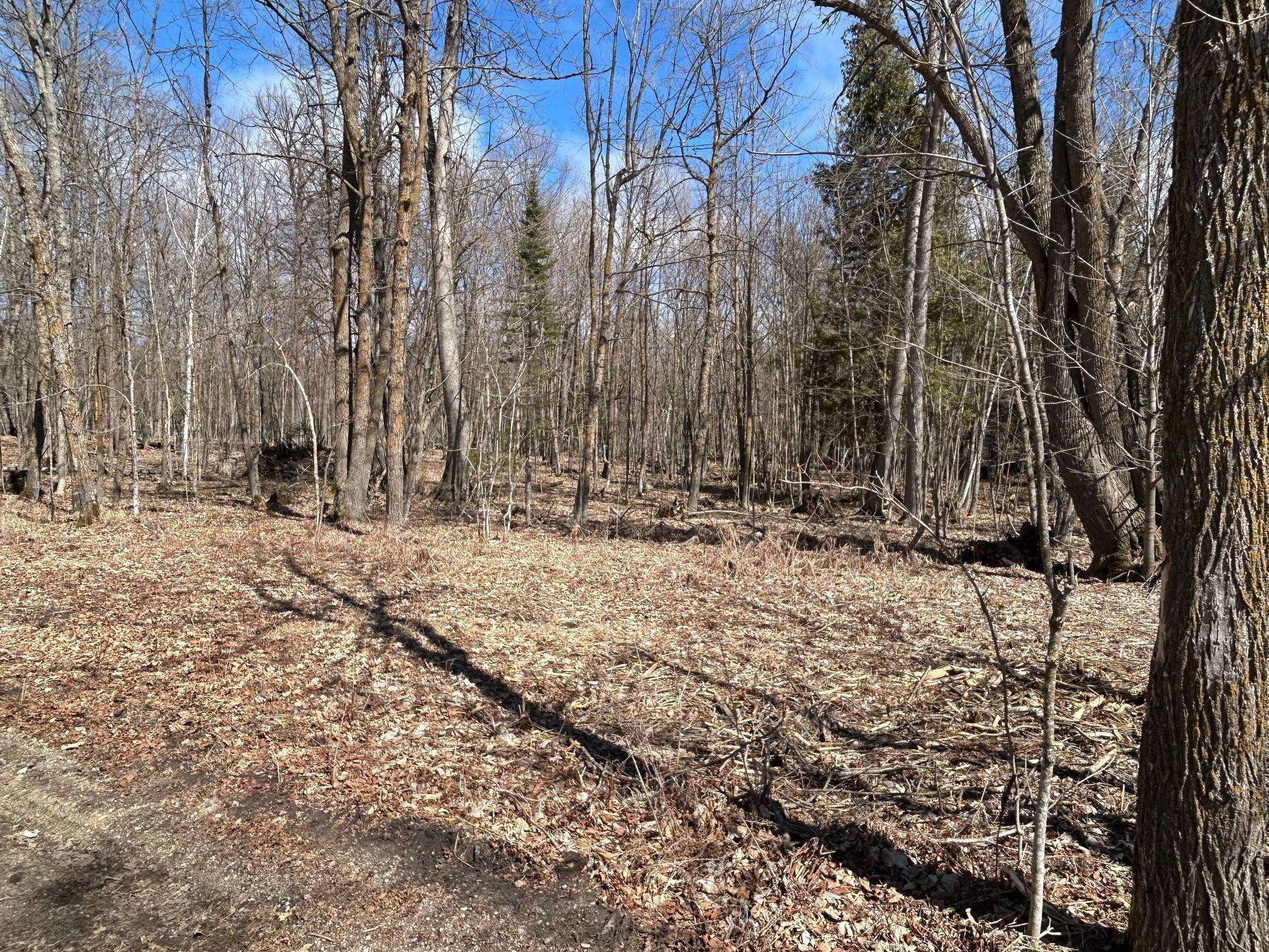 48623 Neon Road, Bowstring Twp, MN 56636