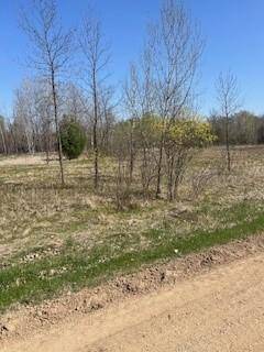 000 Ottawa DR, Browerville, MN 56438