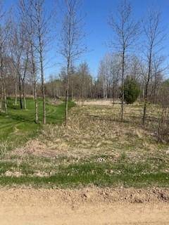 000 Ottawa DR, Browerville, MN 56438