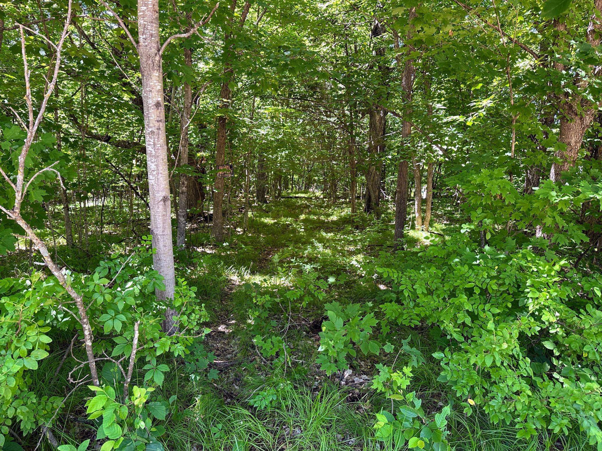 32xxx Smokey LN, Battle Lake, MN 56515