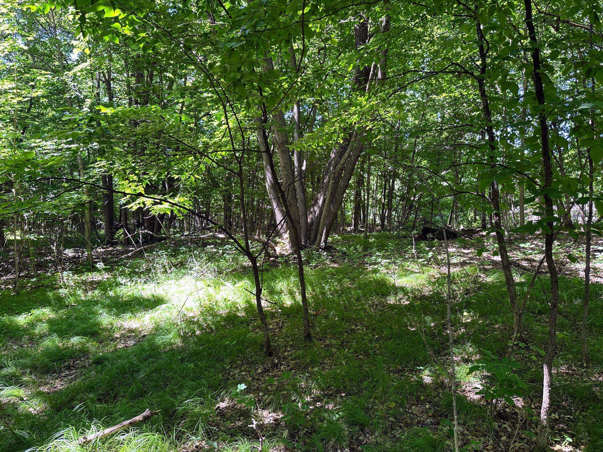 32xxx Smokey LN, Battle Lake, MN 56515