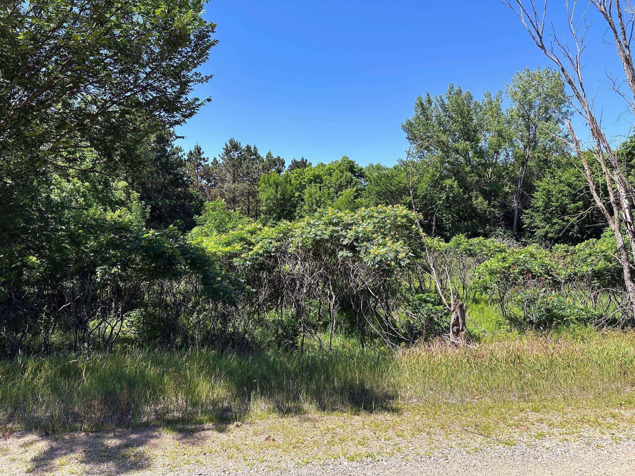 3xxxx Smokey LN, Battle Lake, MN 56515
