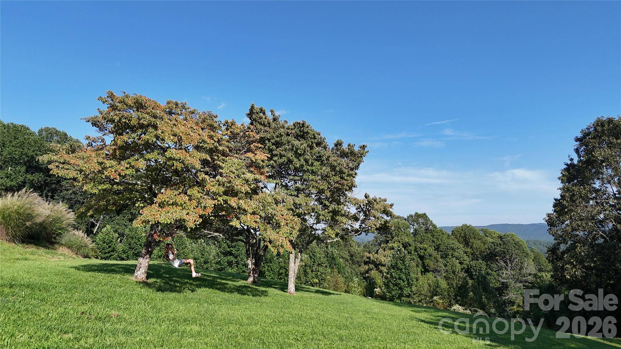 93 Orchard HL, Saluda, NC 28773