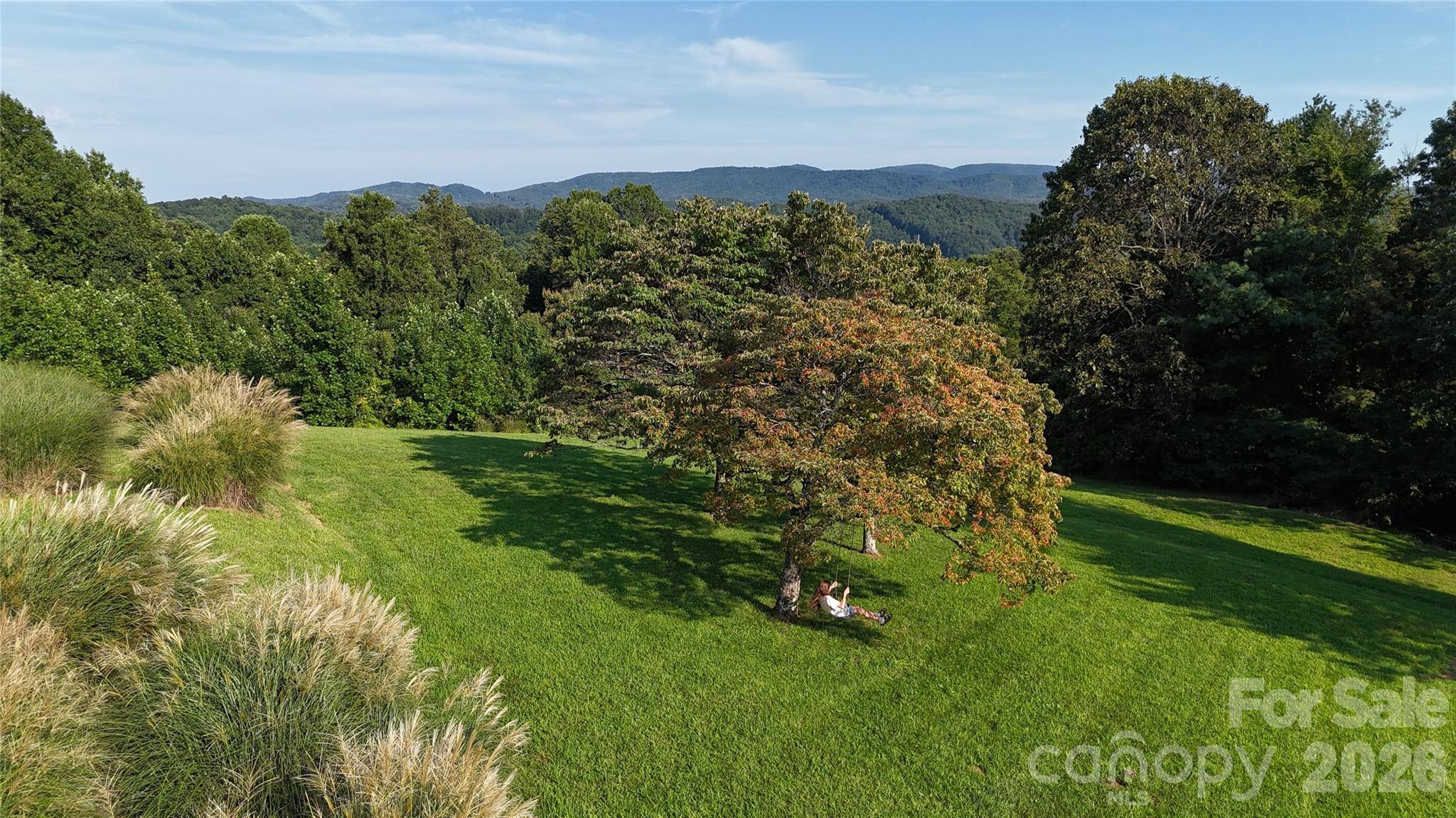 93 Orchard HL, Saluda, NC 28773