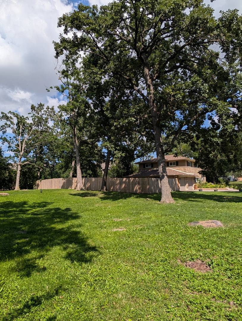 141 E Potter ST, Wood Dale, IL 60191