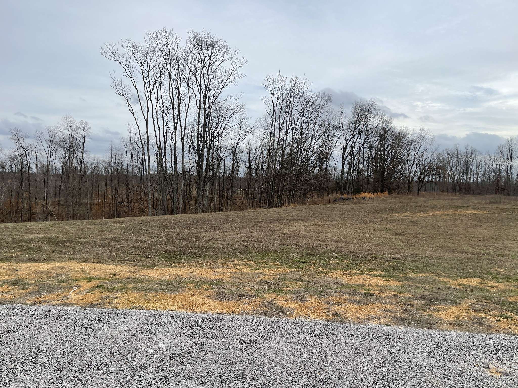 44 Ridgeway Ave, Smithville, TN 37166