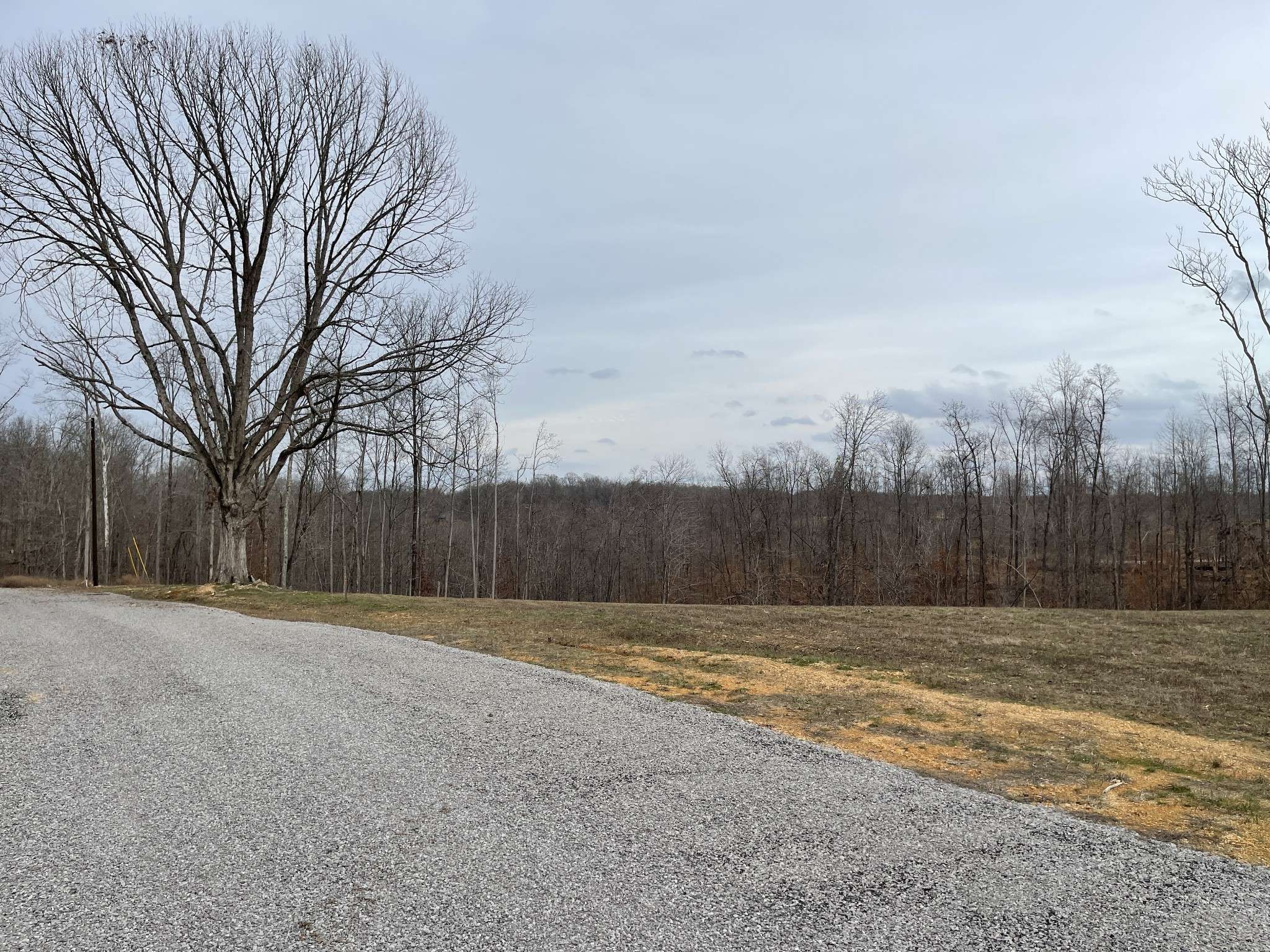 44 Ridgeway Ave, Smithville, TN 37166