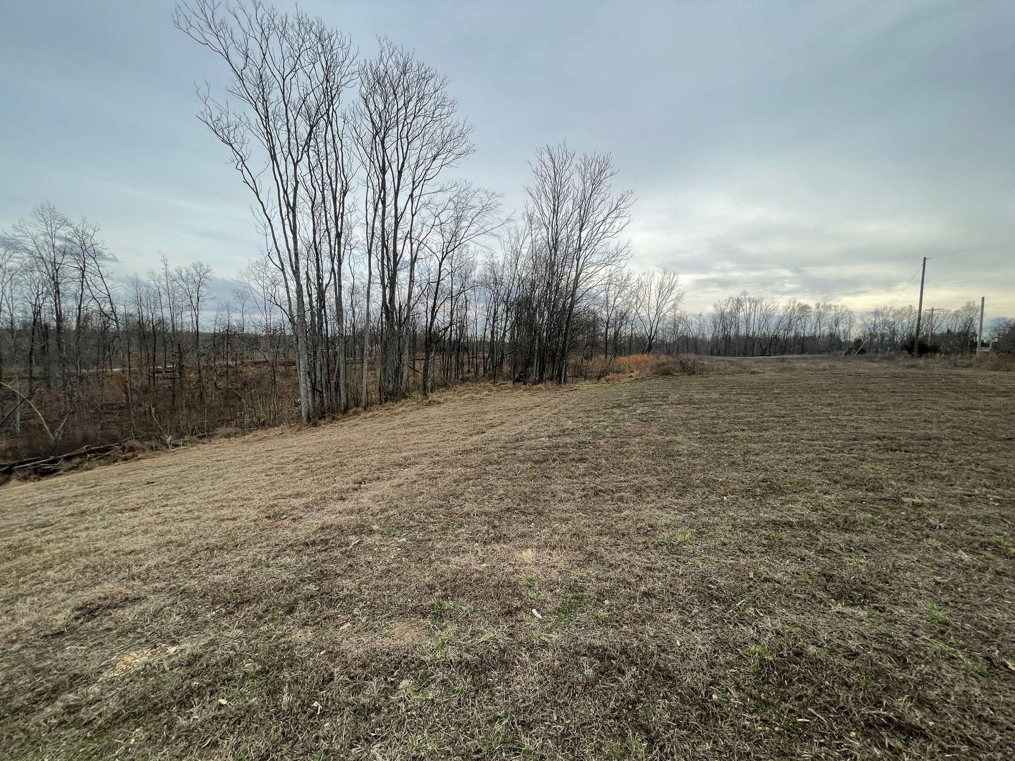 44 Ridgeway Ave, Smithville, TN 37166
