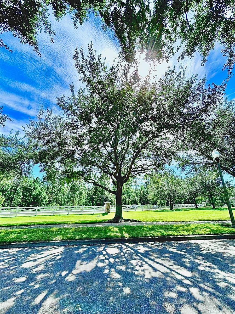 12417 CRUXBURY DR, Windermere, FL 34786