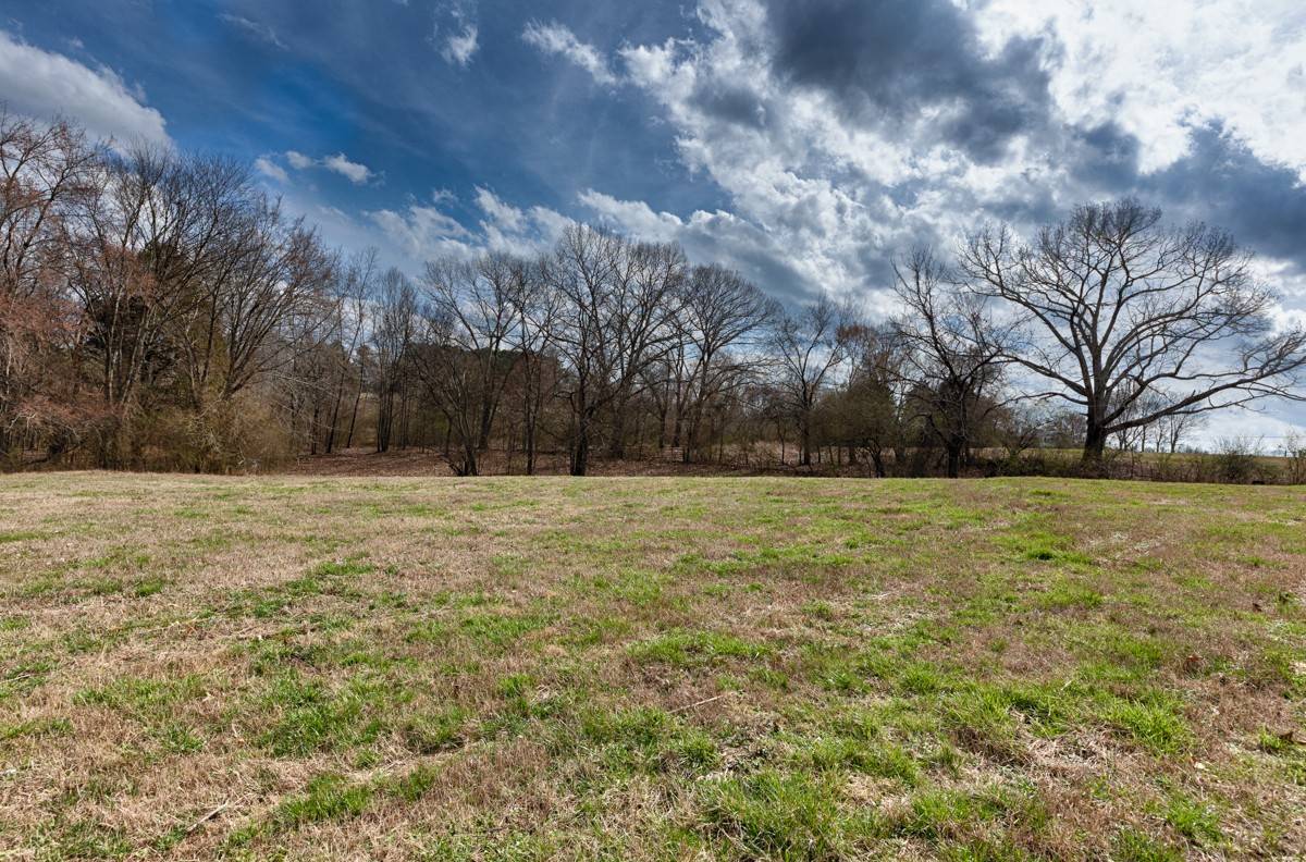 0 County Road 656, Anderson, AL 35610
