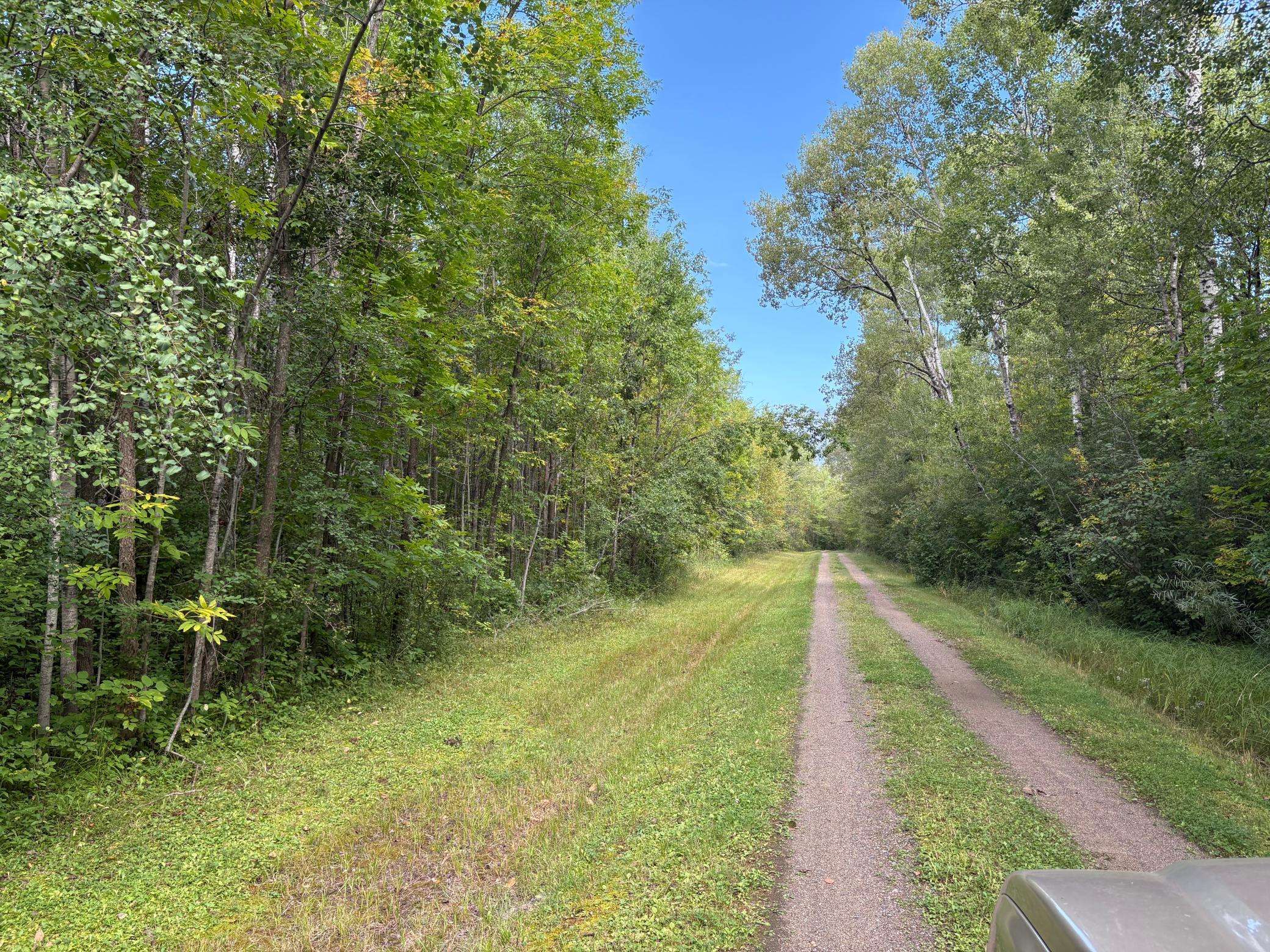 28712 480th ST, Palisade, MN 56469