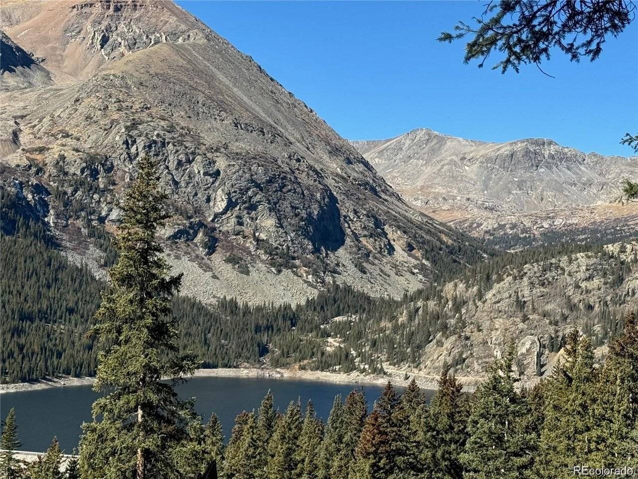275 Lakeview, Alma, CO 80420