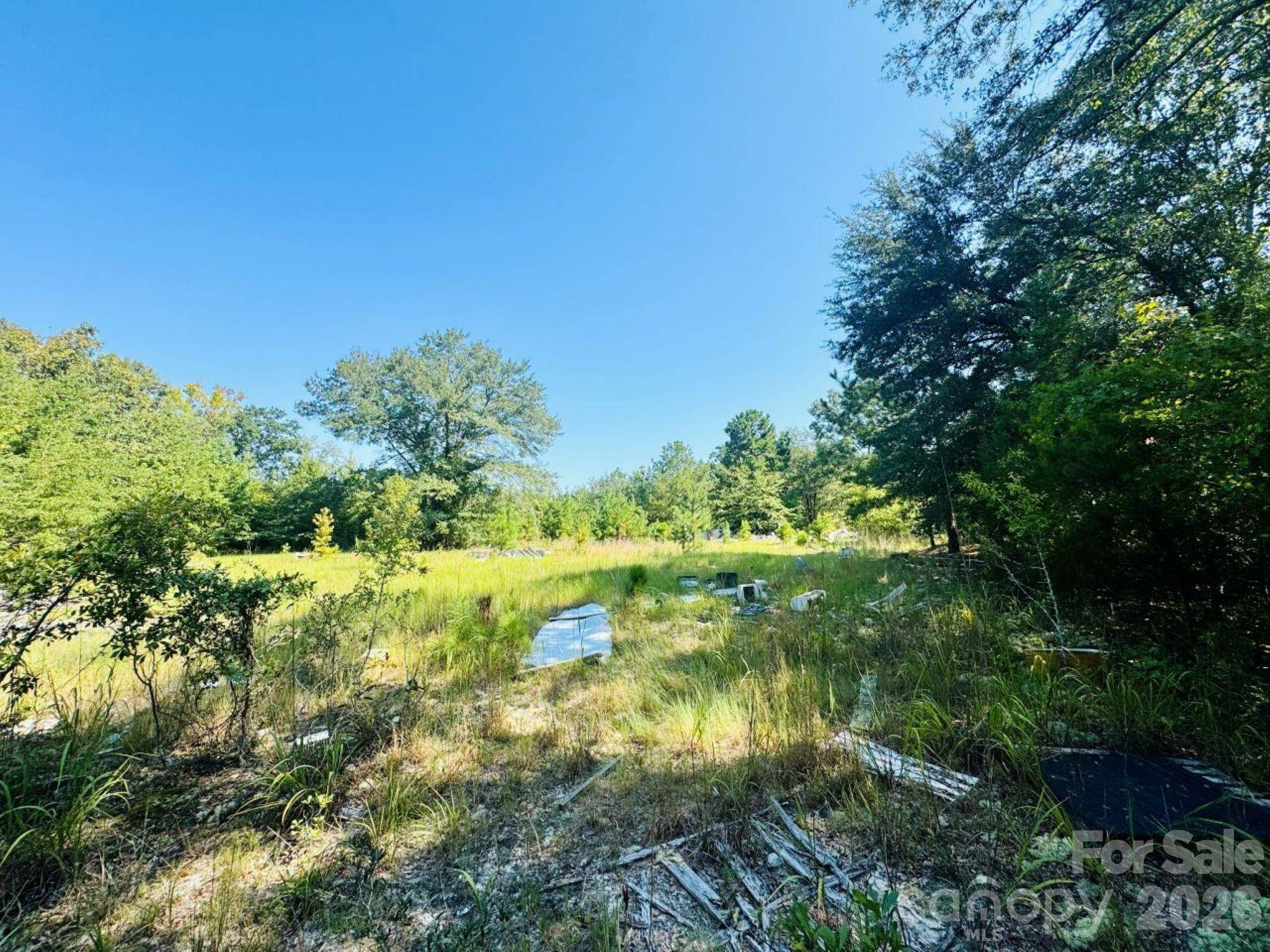 499 Mac Jowers LN, Jefferson, SC 29718