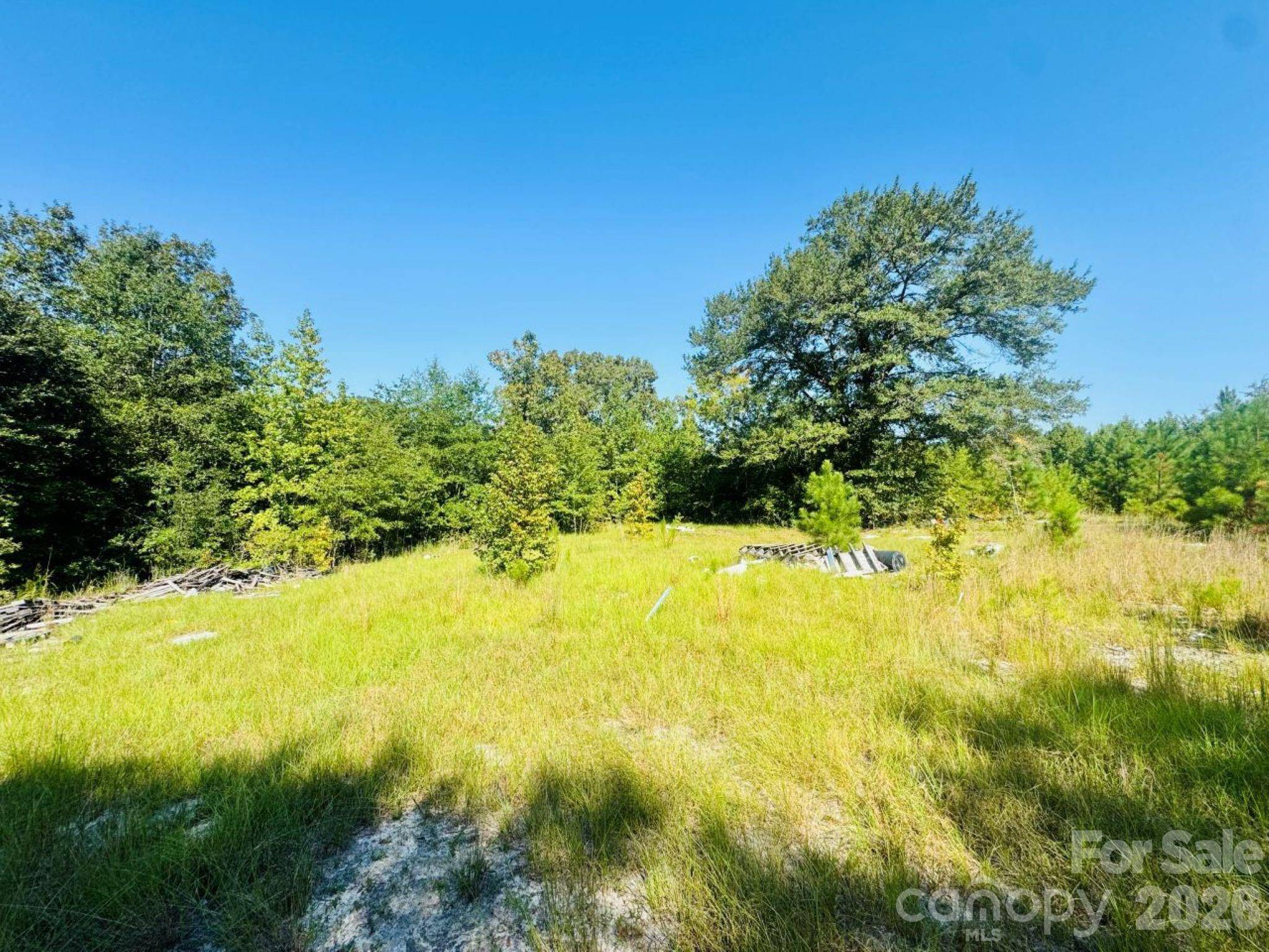 499 Mac Jowers LN, Jefferson, SC 29718