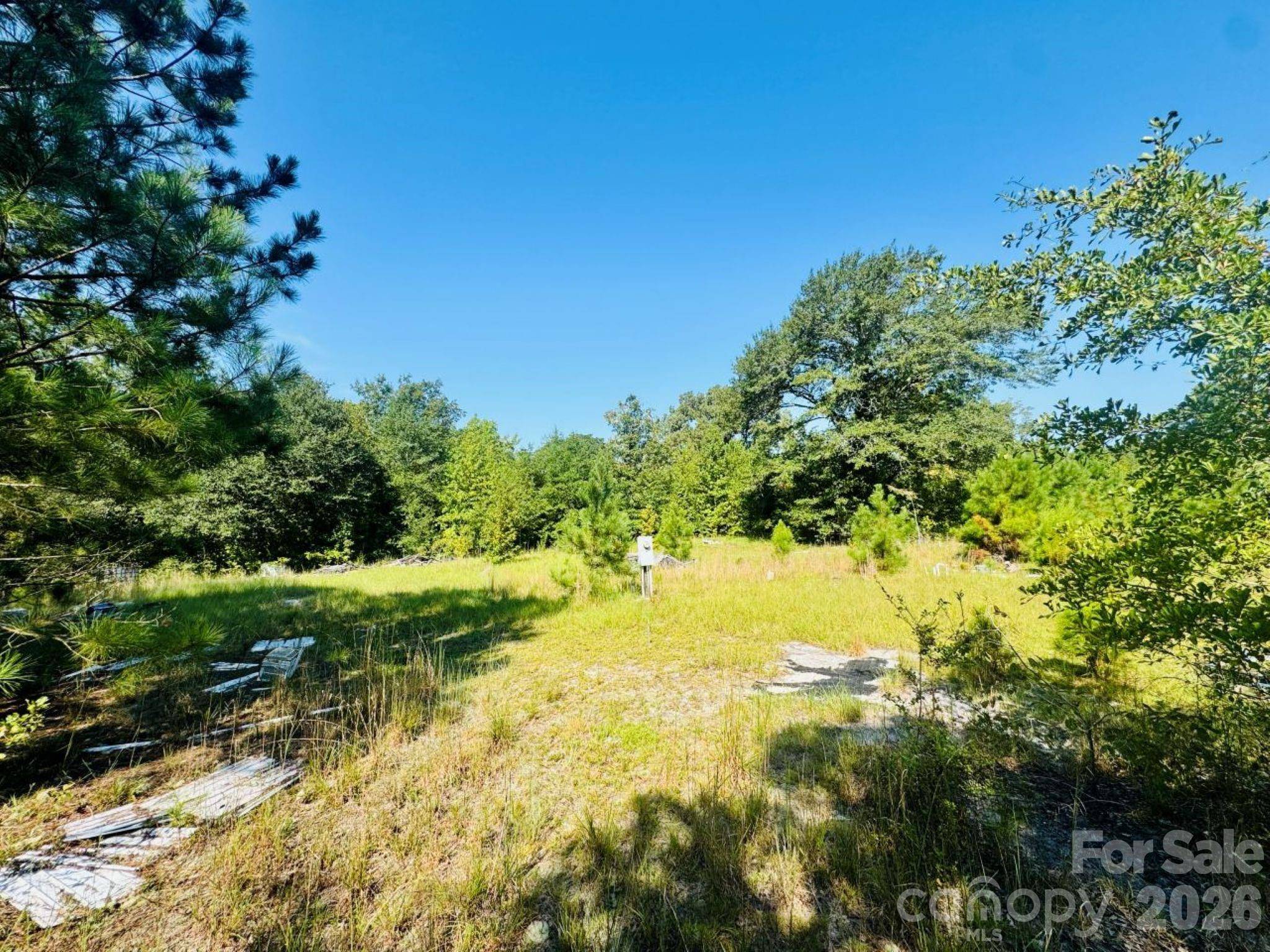 499 Mac Jowers LN, Jefferson, SC 29718