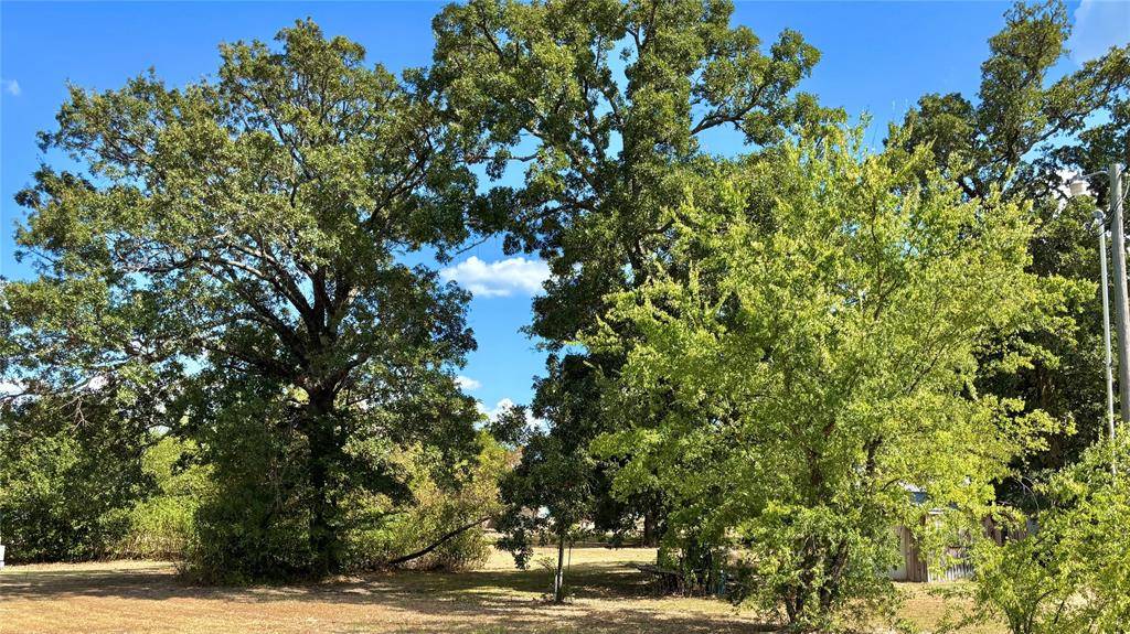 169 Navajo, Quitman, TX 75783