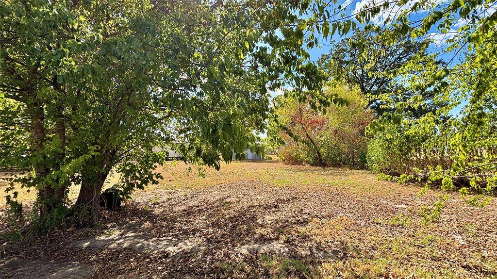 169 Navajo, Quitman, TX 75783