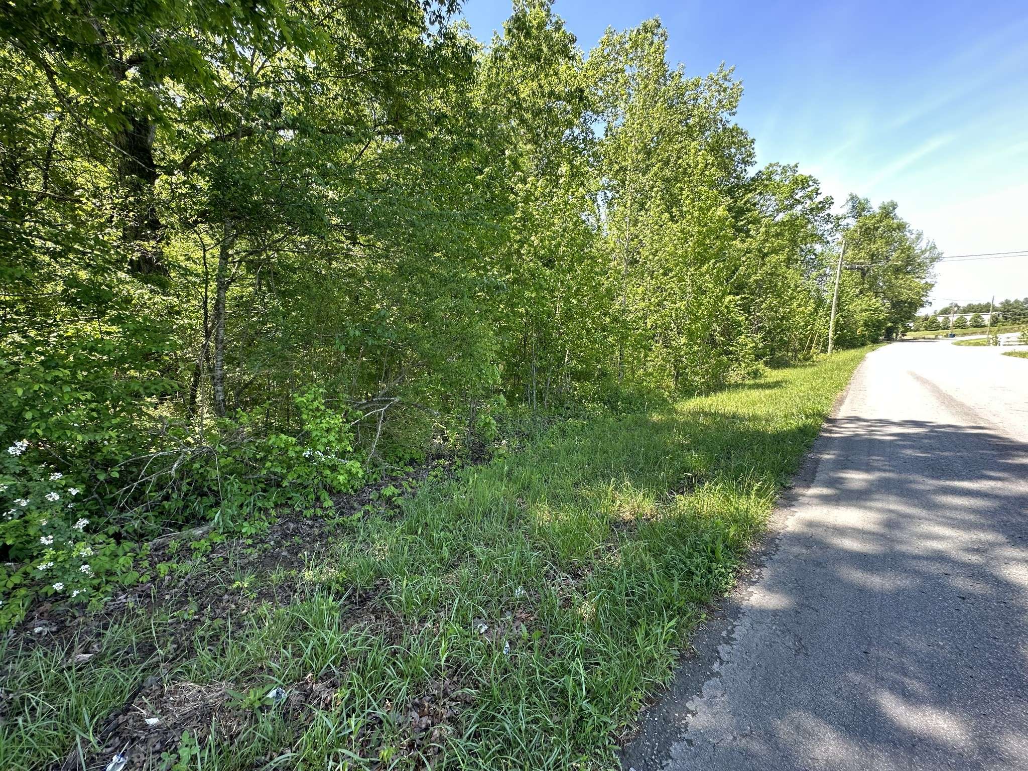 0 Ferrells Loop #NE, Beechgrove, TN 37018