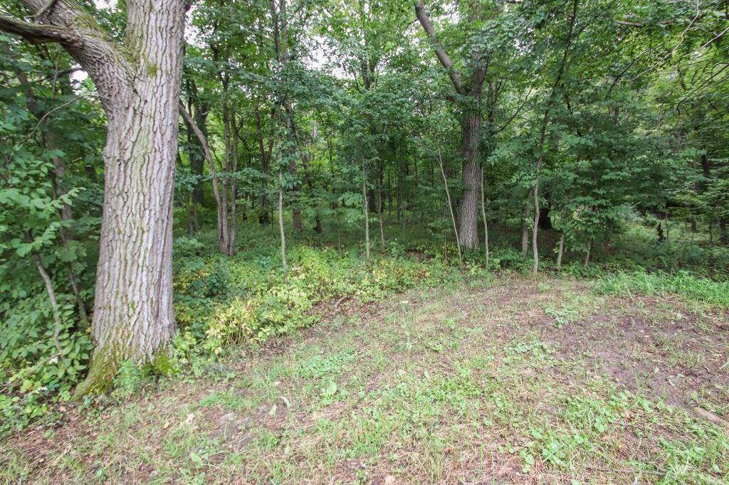 21677 Trestle Ridge RD, Albany, MN 56307