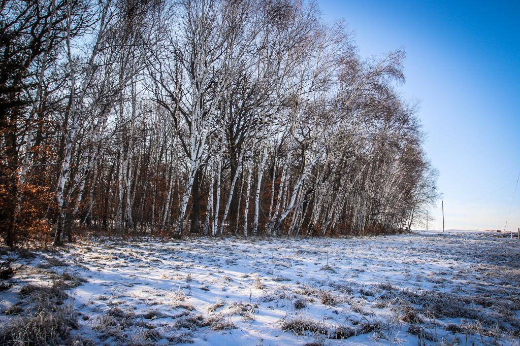 21677 Trestle Ridge RD, Albany, MN 56307