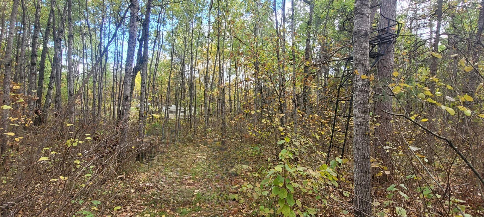 TBD Rivers Edge TRL SW, Barclay Twp, MN 56435