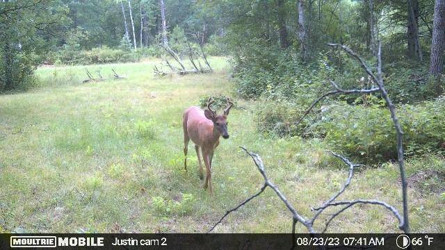 TBD Rivers Edge TRL SW, Barclay Twp, MN 56435