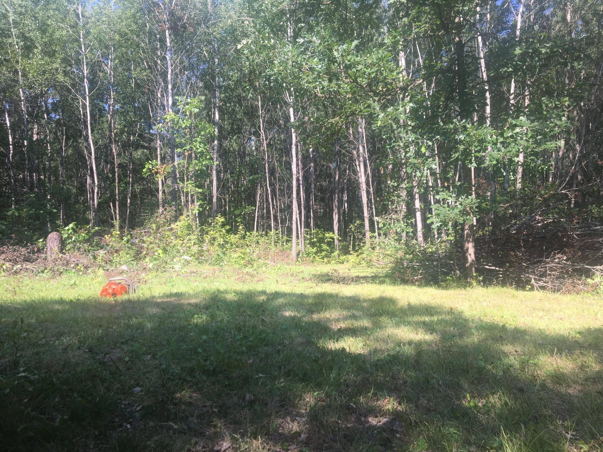 TBD Rivers Edge TRL SW, Barclay Twp, MN 56435