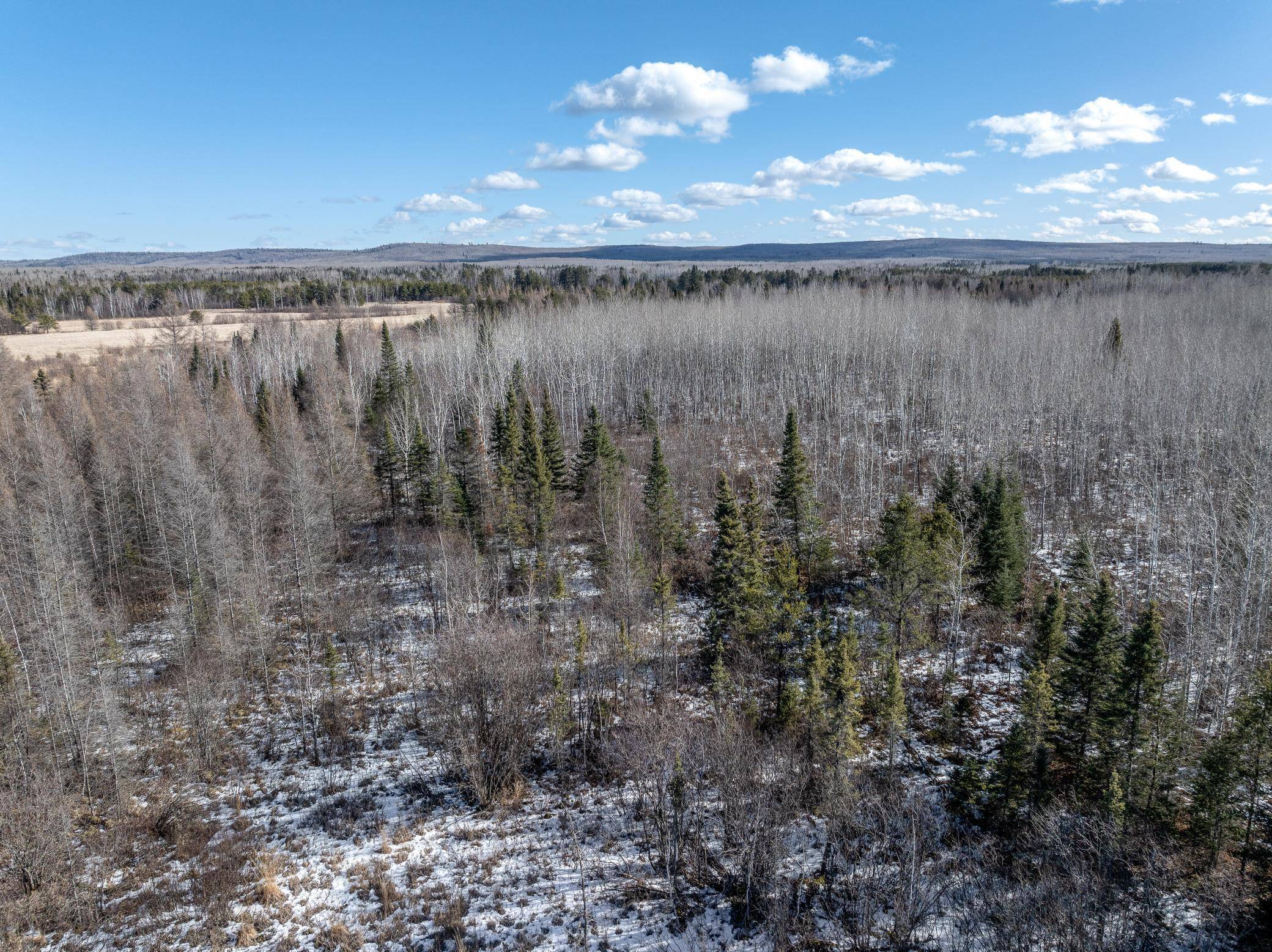 3067 W Township Road 6304, Babbitt, MN 55706