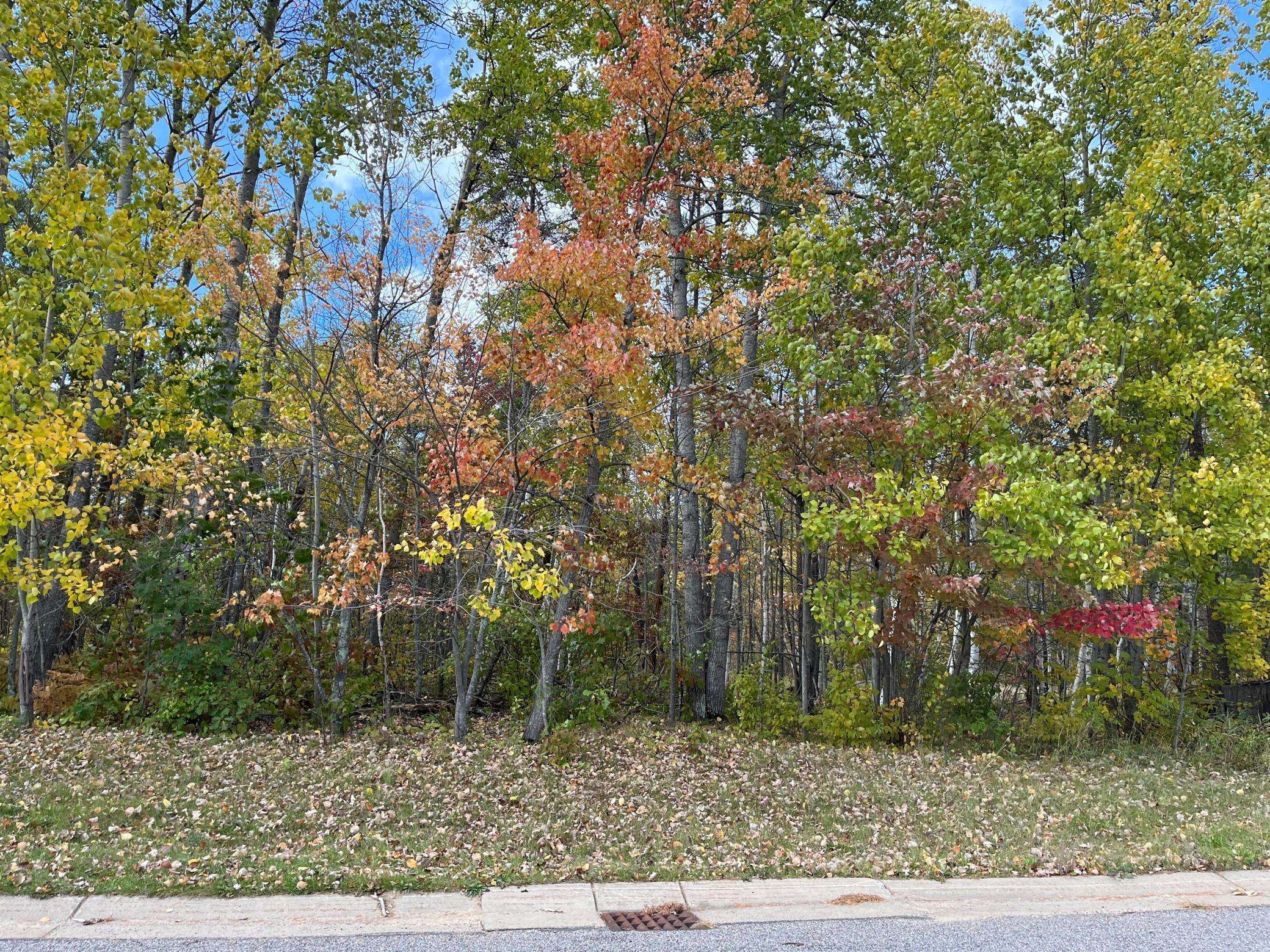 tbd Airport RD, Breezy Point, MN 56472