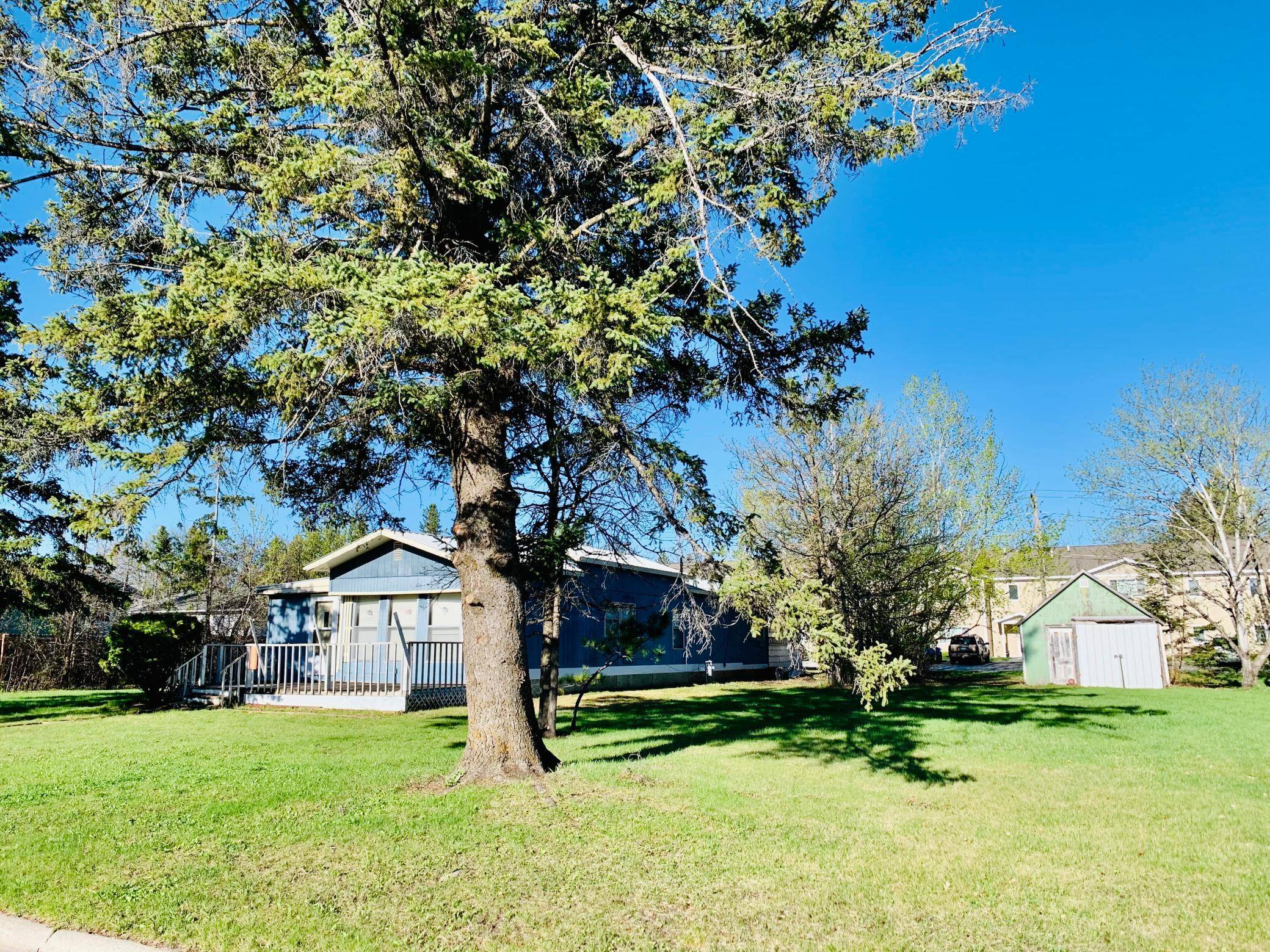 209 4th AVE NW, Baudette, MN 56623