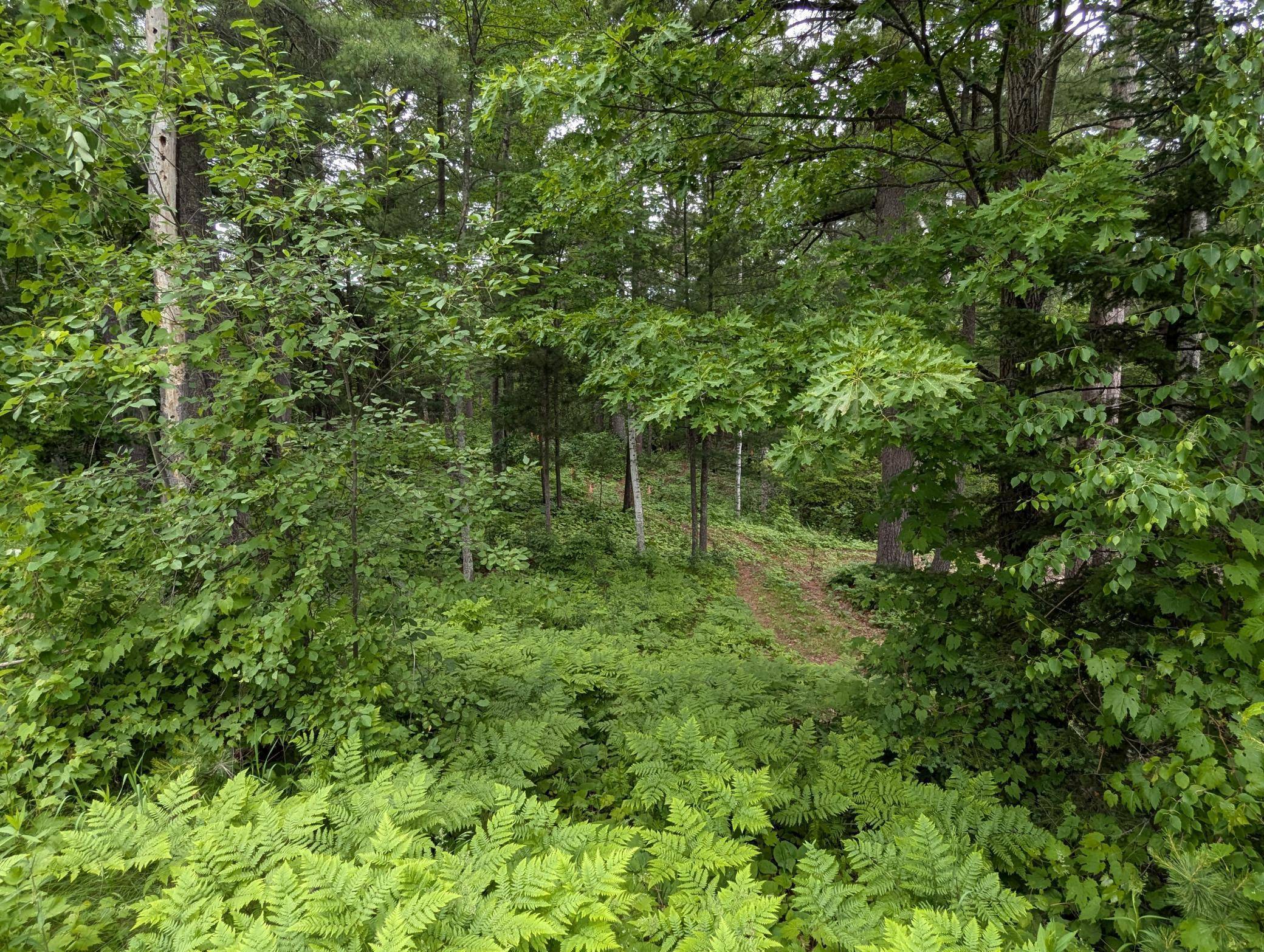 TBD 5th ST S, Walker, MN 56484