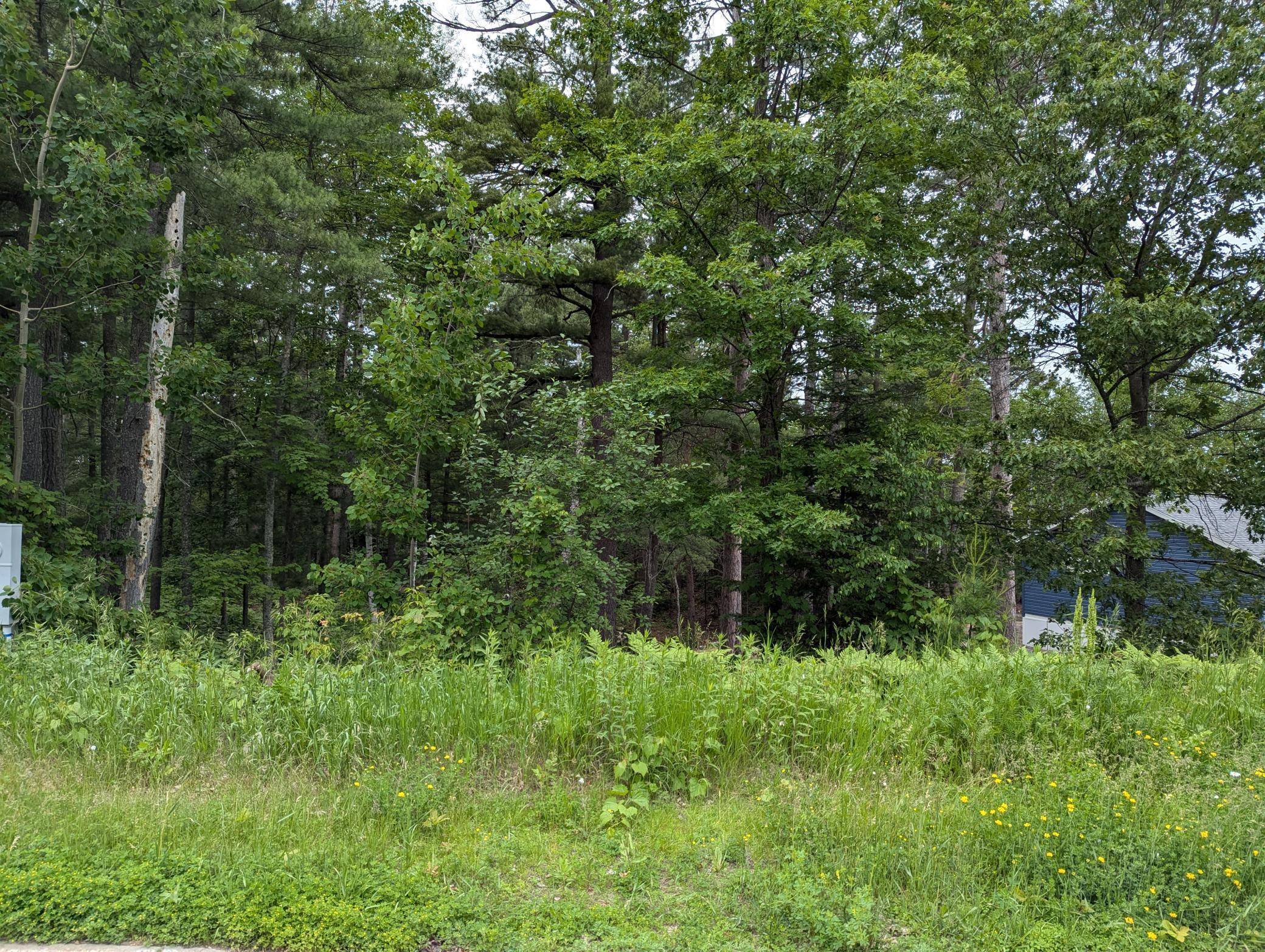 TBD 5th ST S, Walker, MN 56484