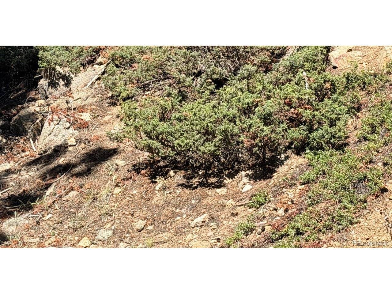 0 Silver Dollar Lode, Georgetown, CO 80444